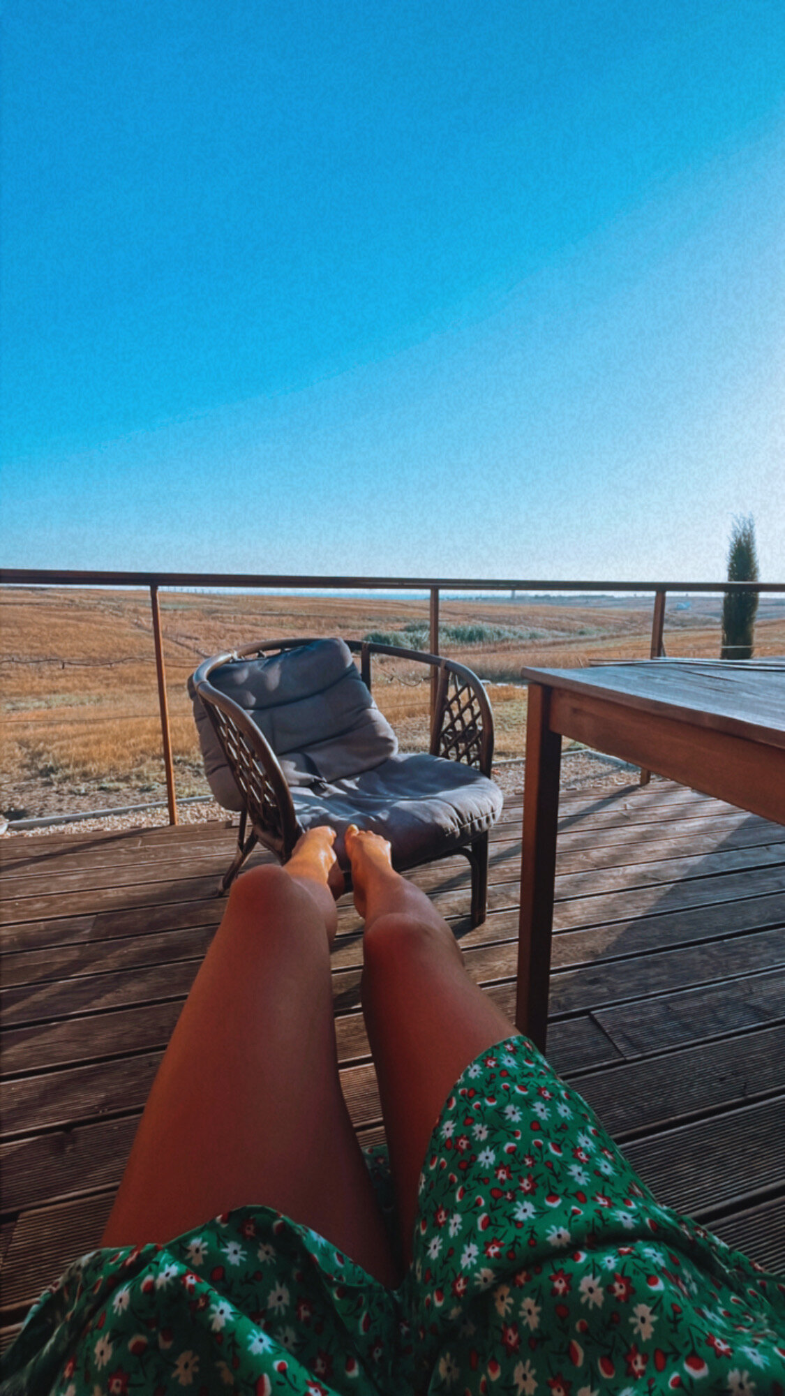 Фото Фридом