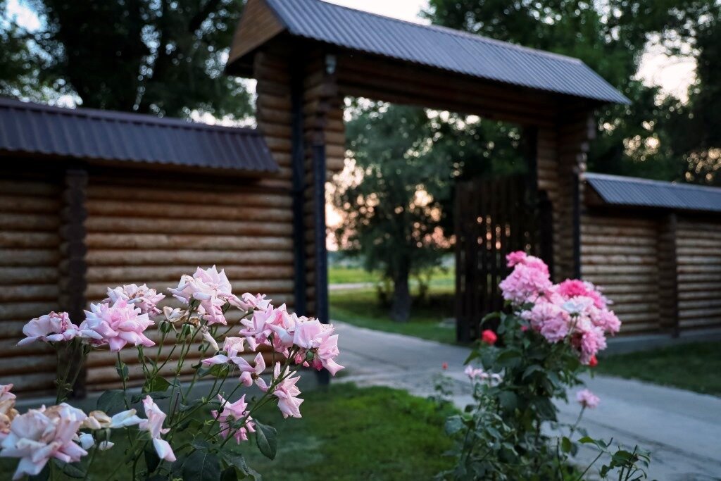 Фото Лесная