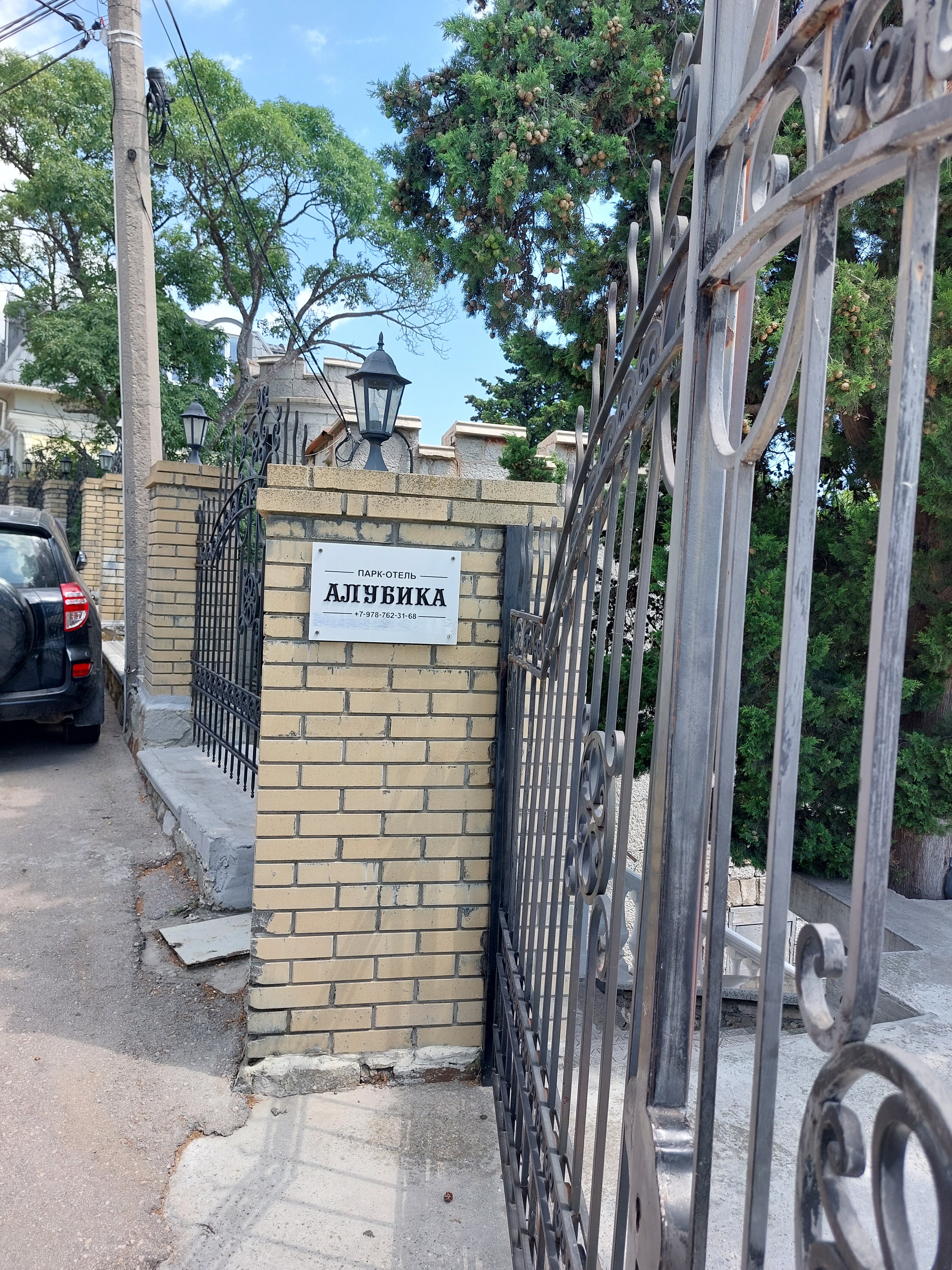 Фото Алубика