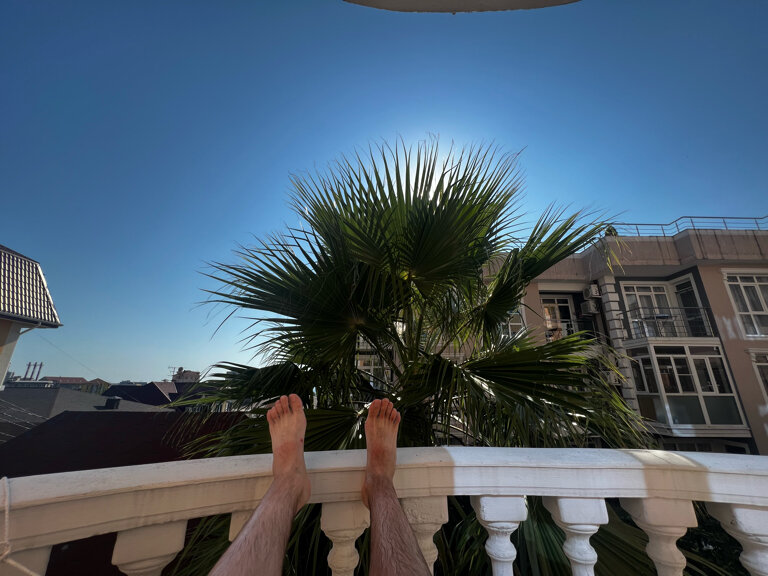 Фото Возрождение