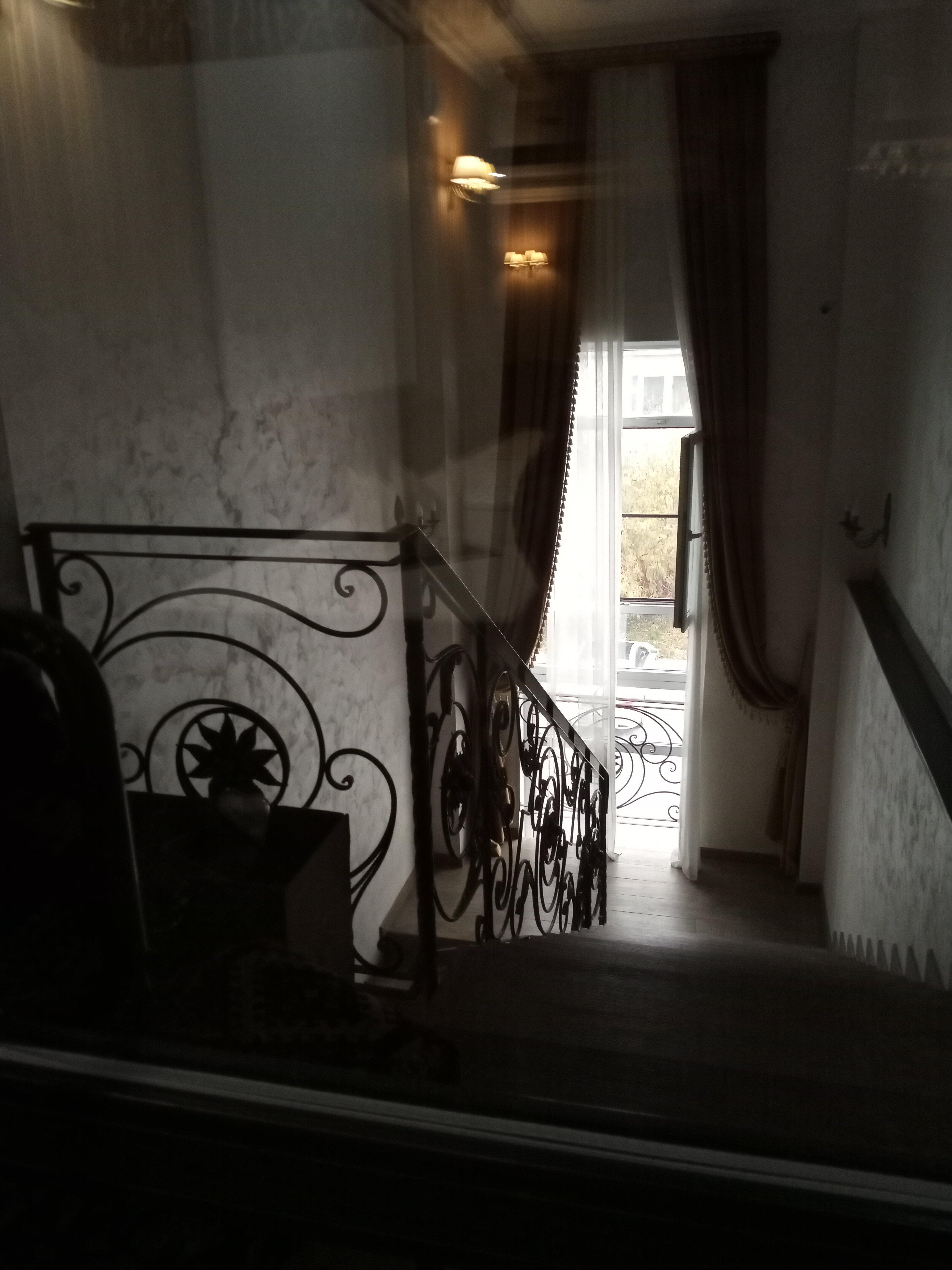 Фото Монарх