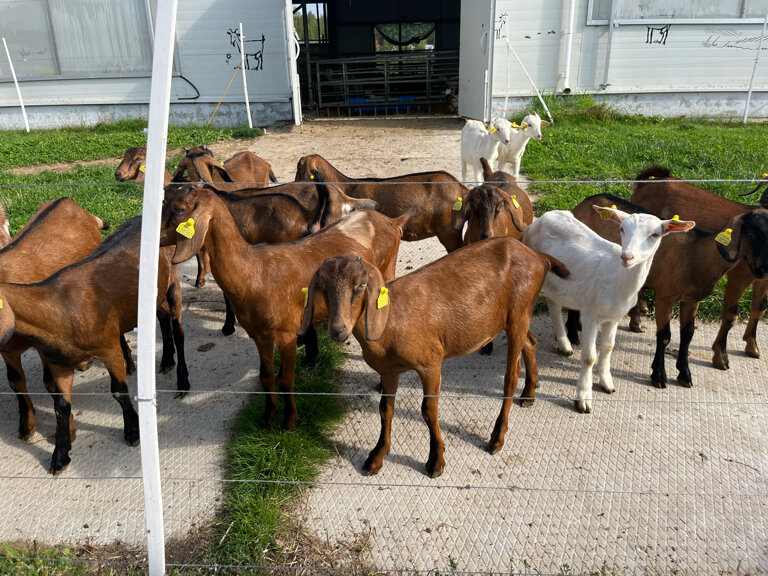 Фото Центр эко туризма Ферма М2