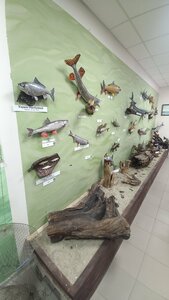 The Don Fish (khutor Kalinin, Shkolnaya ulitsa, 109Б), museum