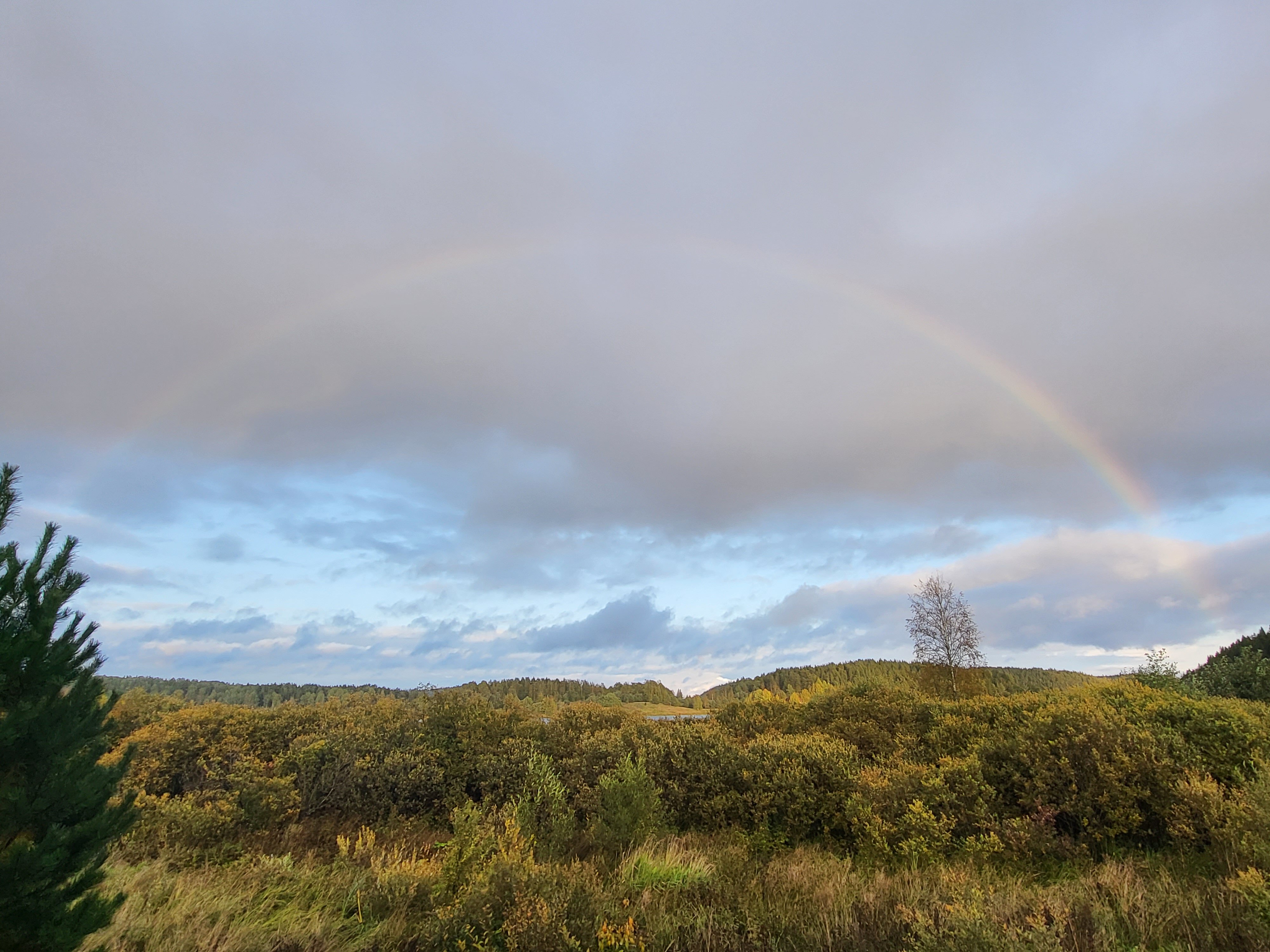 Фото Меклахти