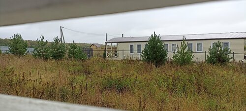 Салтыково на Оке — фото 4