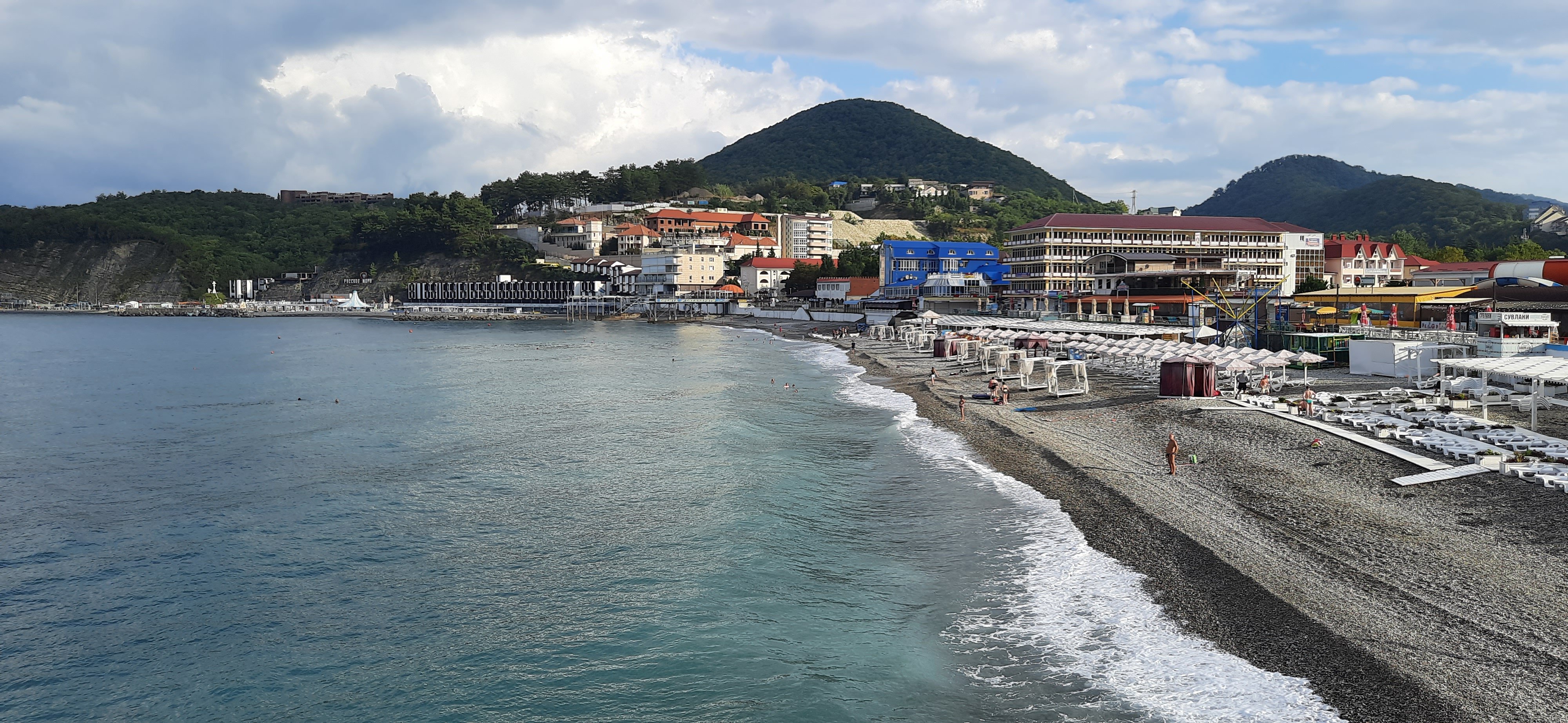 Фото Кипарис