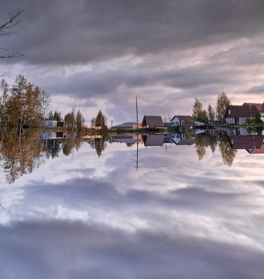 Фото Ромашковая