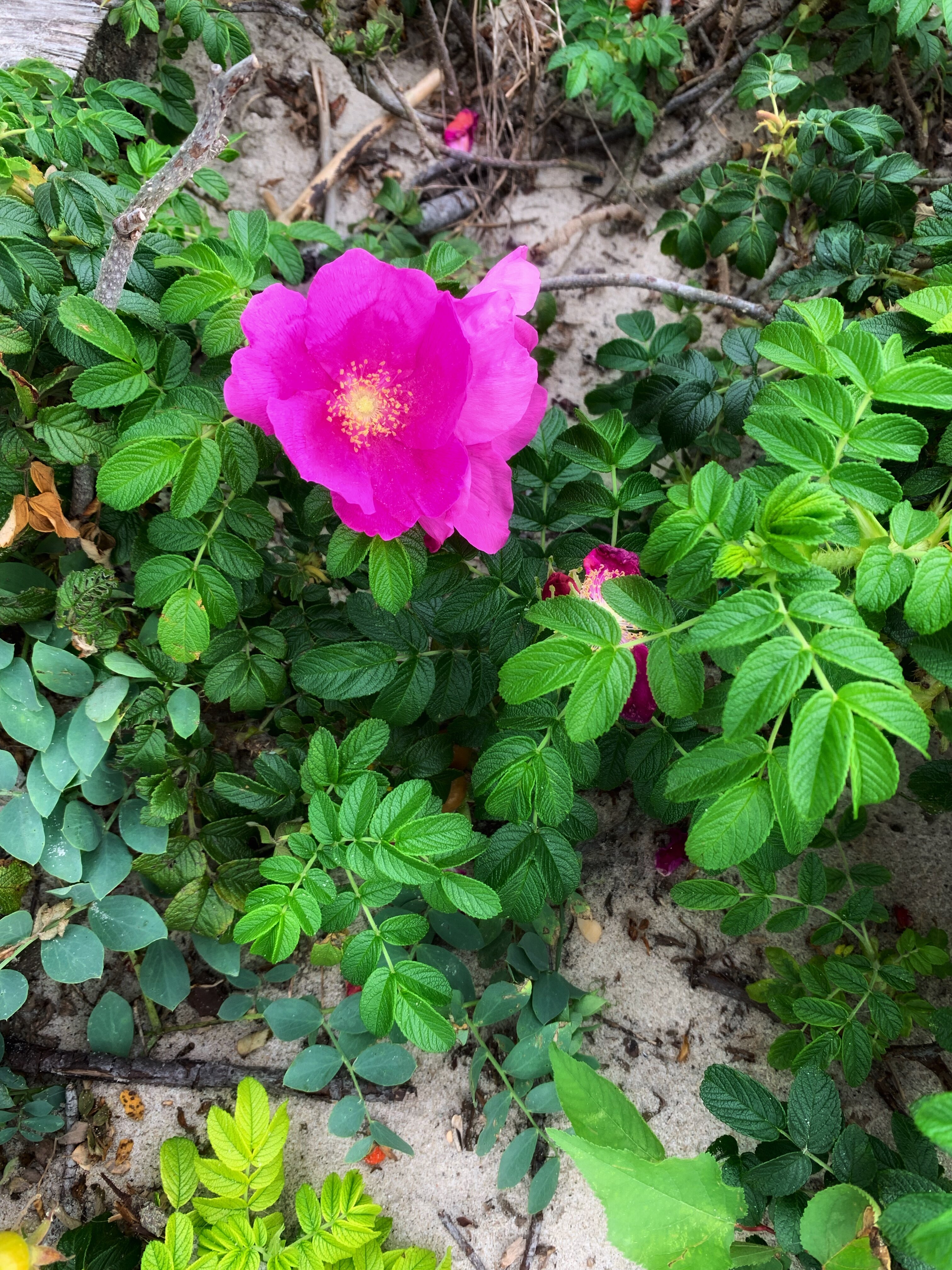 Фото Friday Center