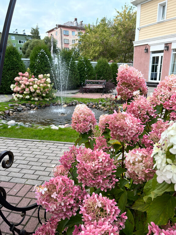 Фото Гостиница История