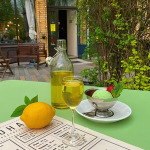 Leona (Moscow, Vorotynskaya Street, 16), restaurant