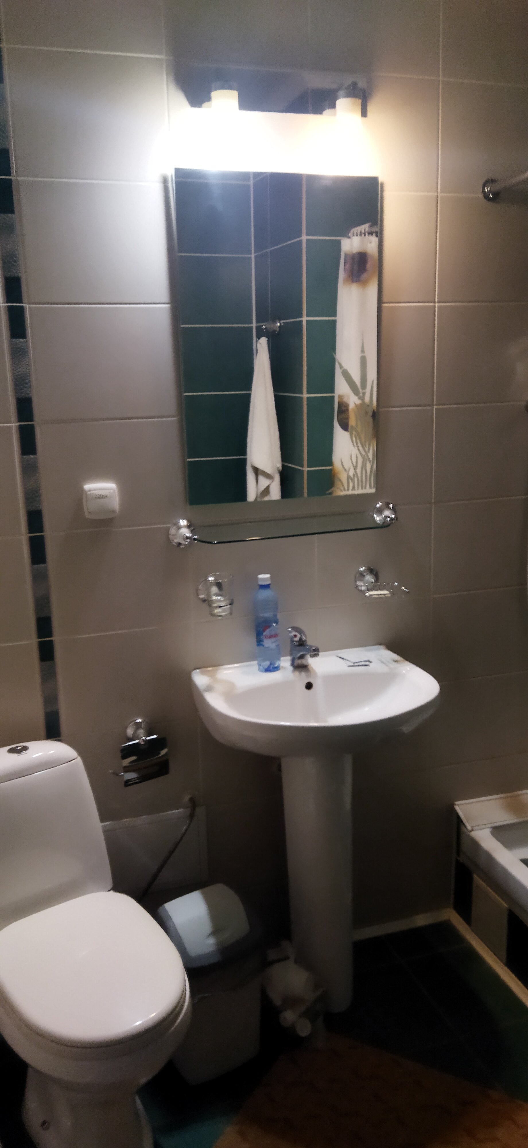 Фото Алейка