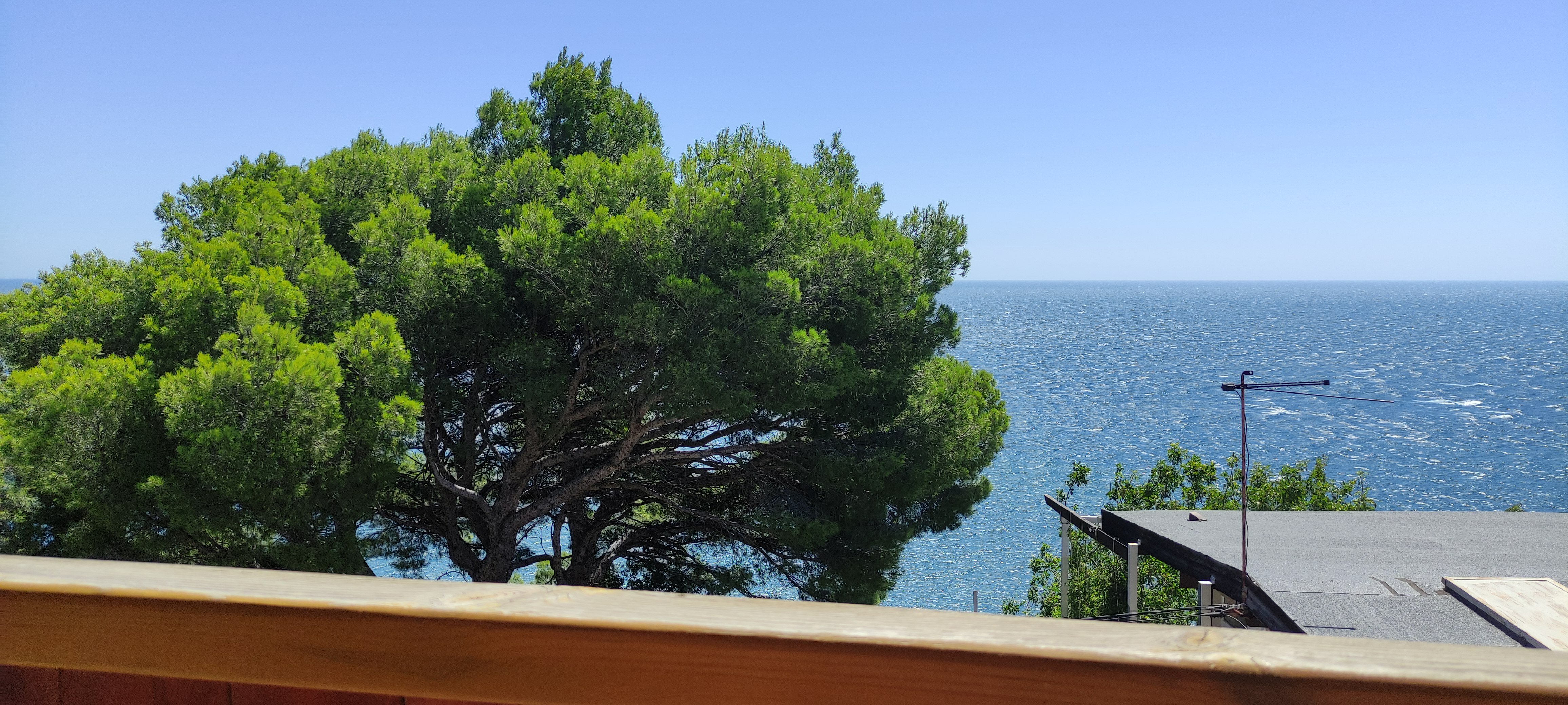 Фото Натали