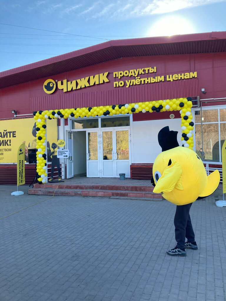 Чижик ул артема 140 фото
