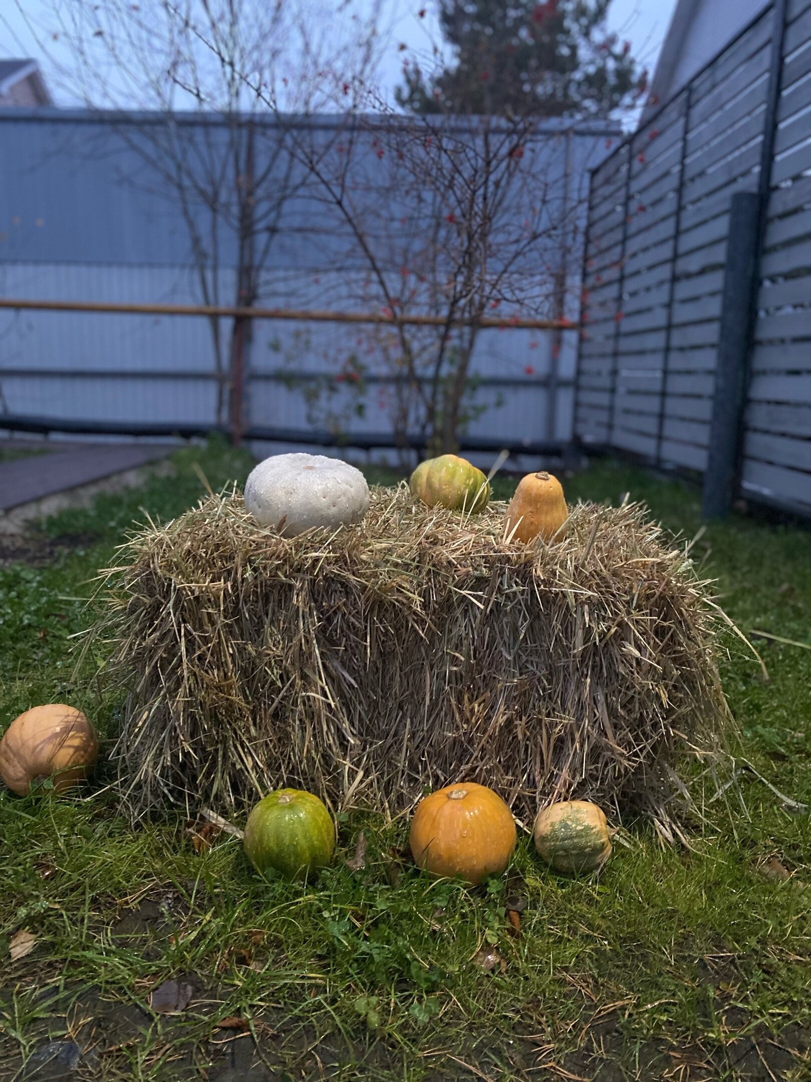 Фото Villa Tivoli