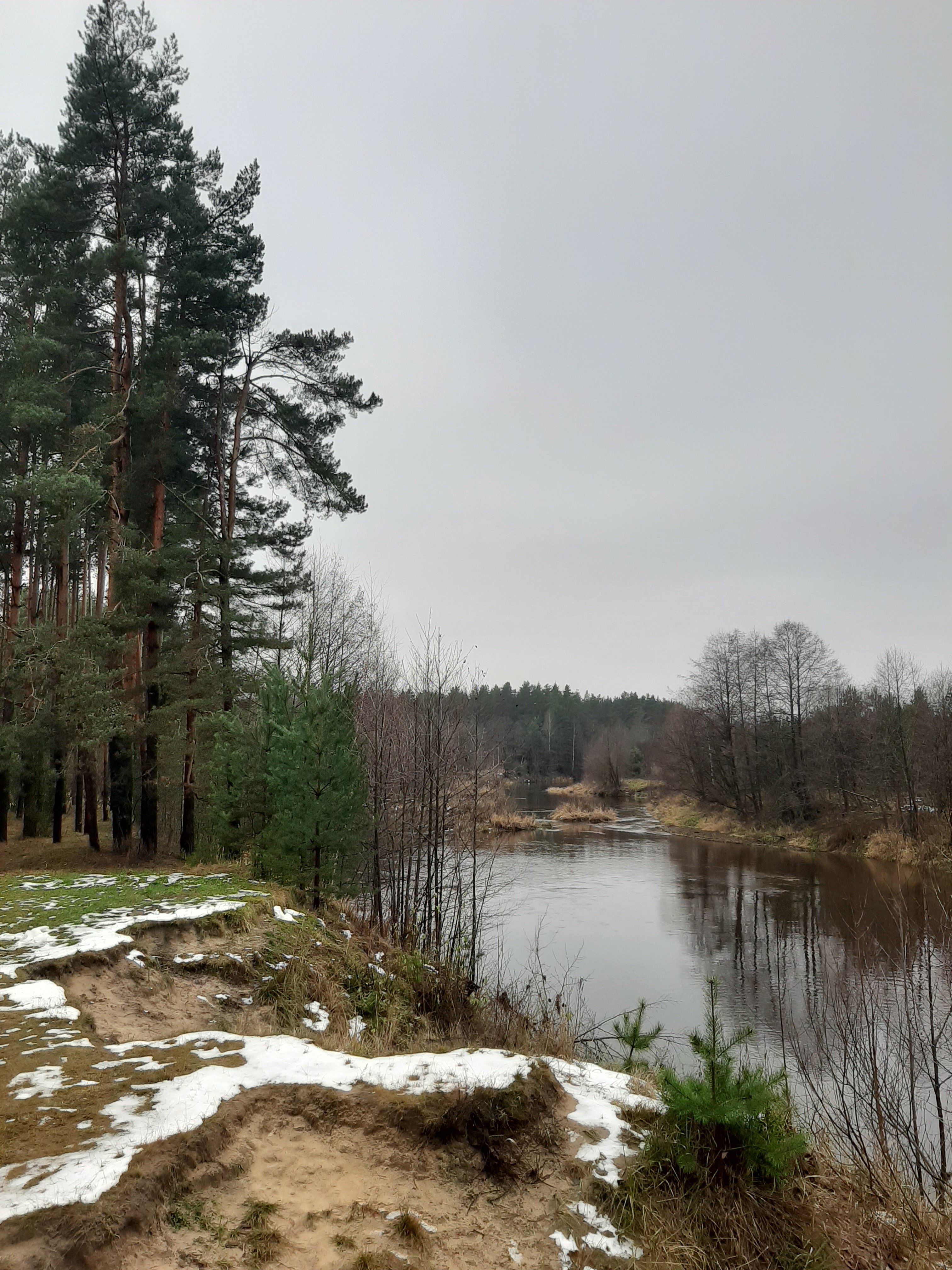 Фото Спутник