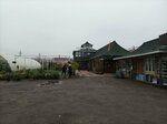 Новый сад (Gosudarstvennogo Plemennogo Zavoda Konstantinovo Settlement, Konstantinovets-1 Gardening Partnership, 15-th Line, 32-35) ، مشتل