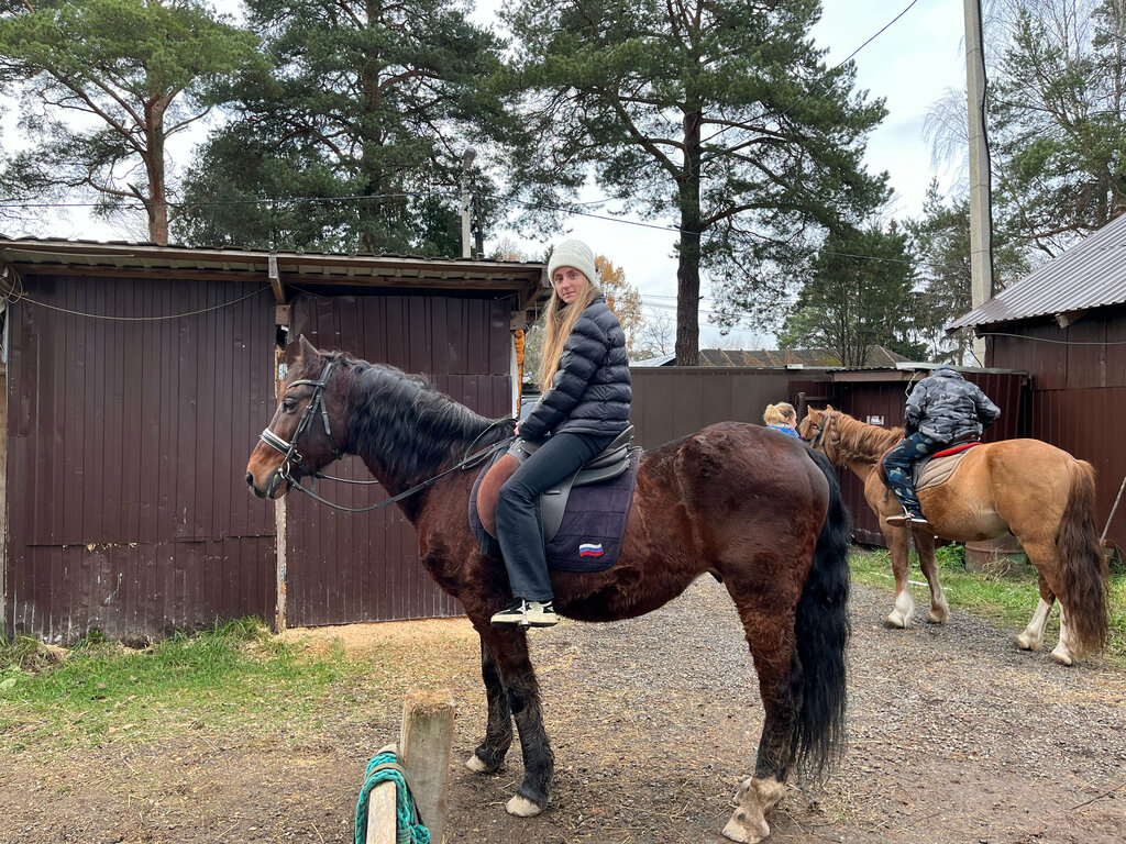 Horse riding ChKu farmstead, Moscow and Moscow Oblast, photo