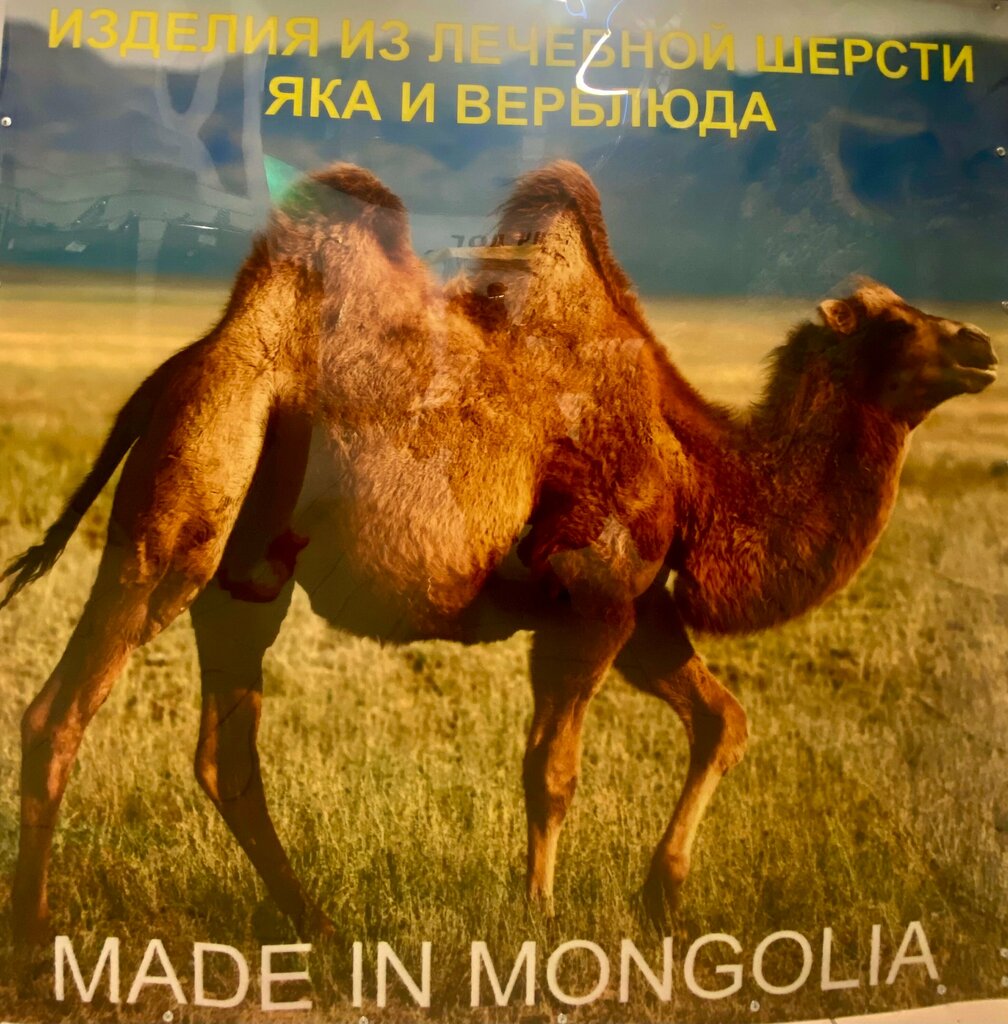 Войлочные и фетровые изделия Mongolka, Вологда, фото