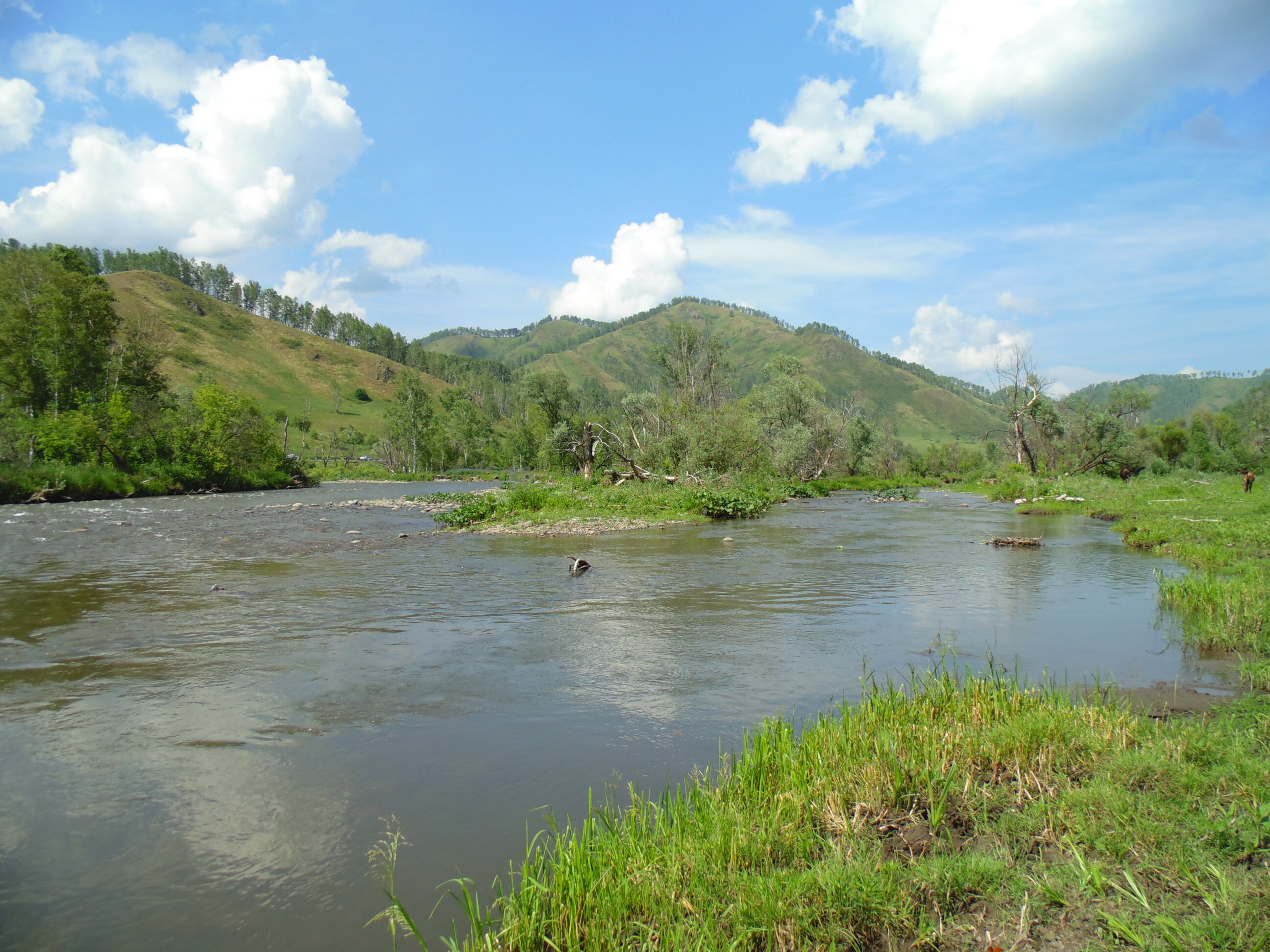 Фото Чедоев привал