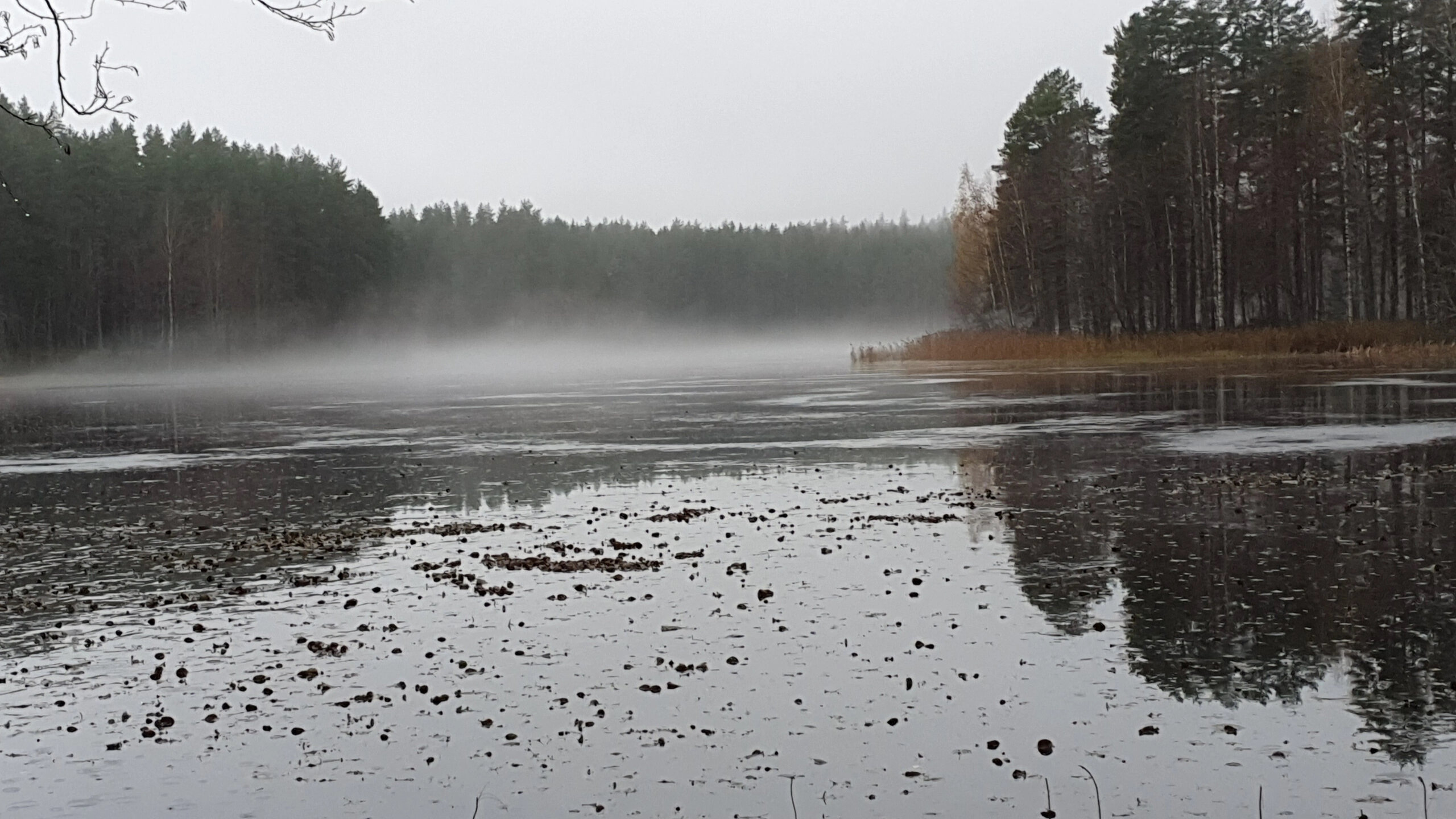 Фото Спартак