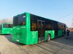 City Bus (Almaty, Kemel shaǵyn aýdany, Aqsýat kóshesі, 42) ، مواقف حافلات