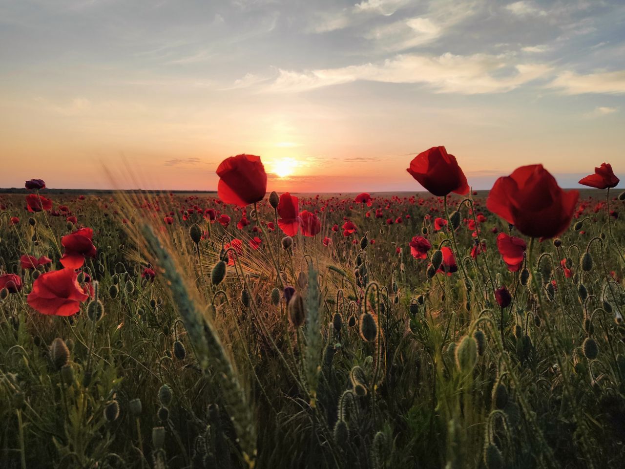 Фото Вилла Лазурит