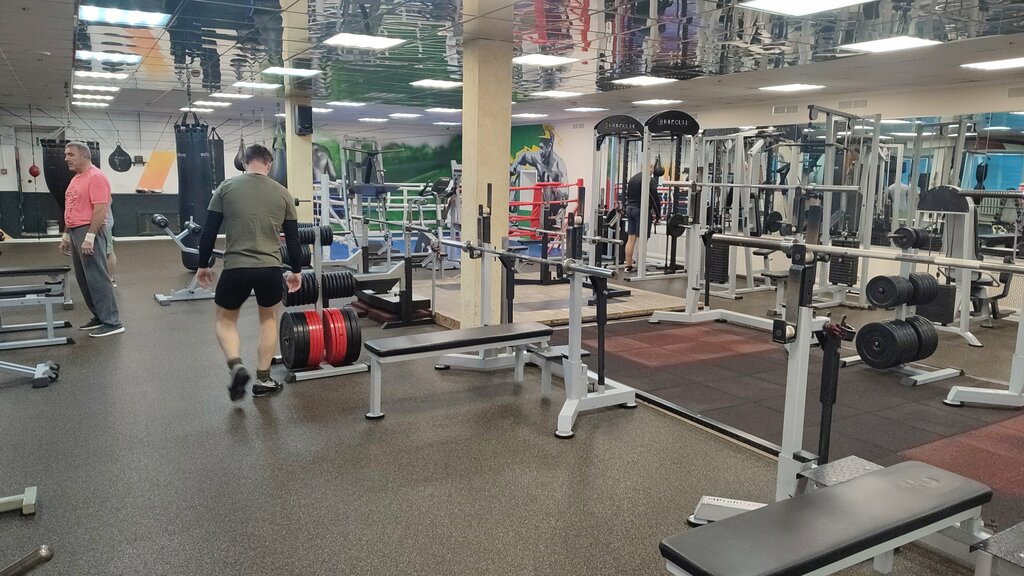 Sports hall, gym Fortius, Yaroslavl, photo