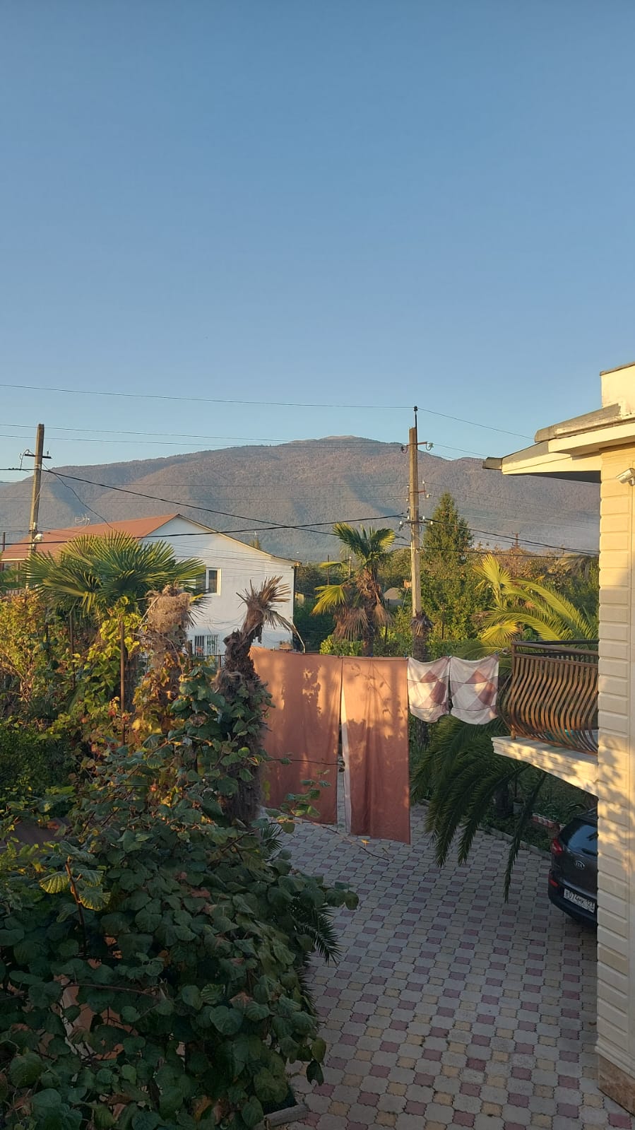 Фото 237534356219