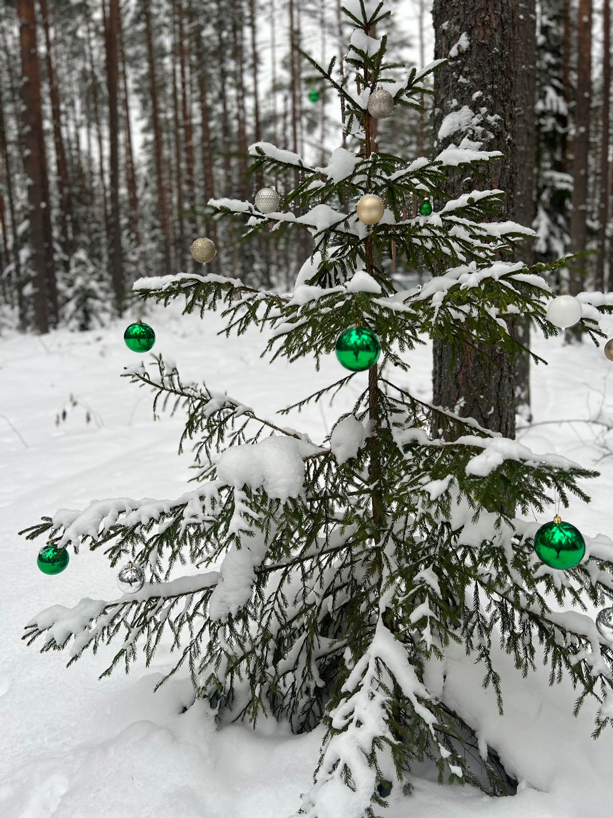 Фото Seliger Soul