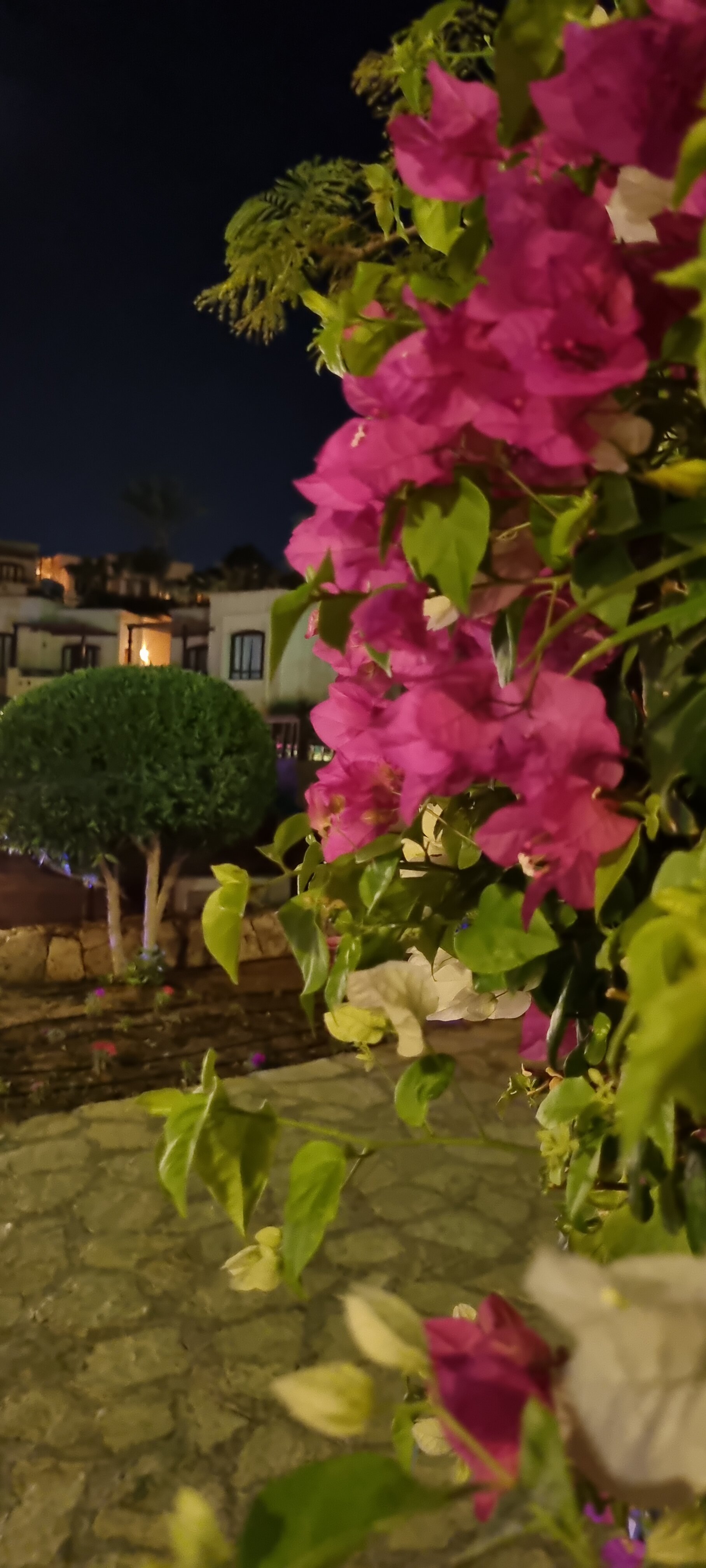 Фото Tamra Beach Resort