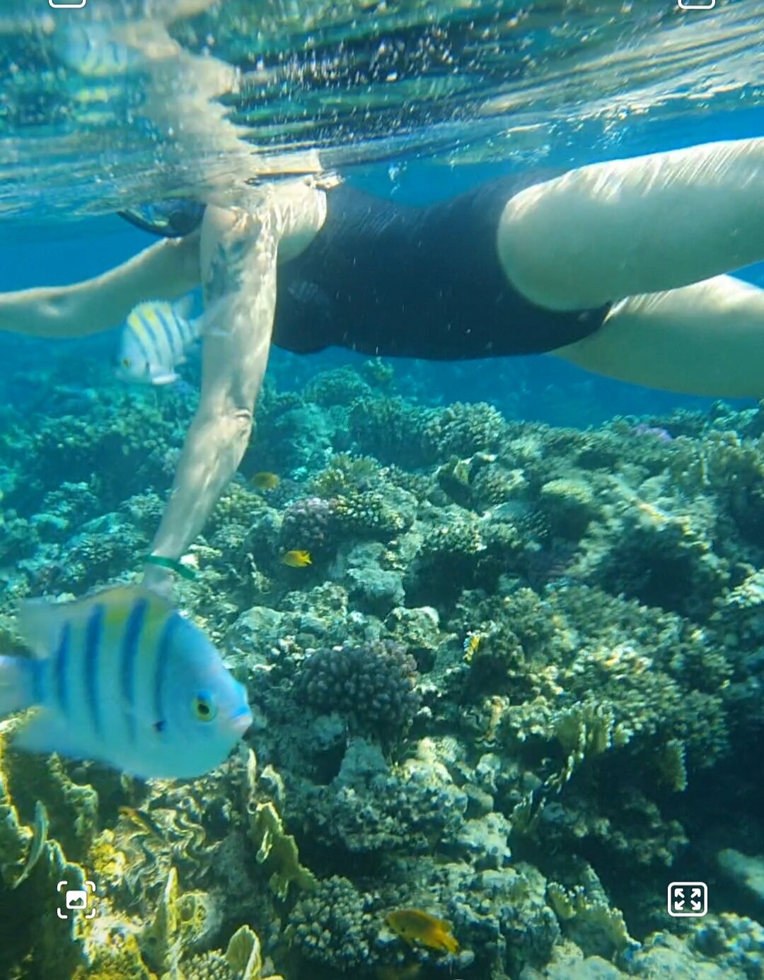 Фото Jaz Fayrouz