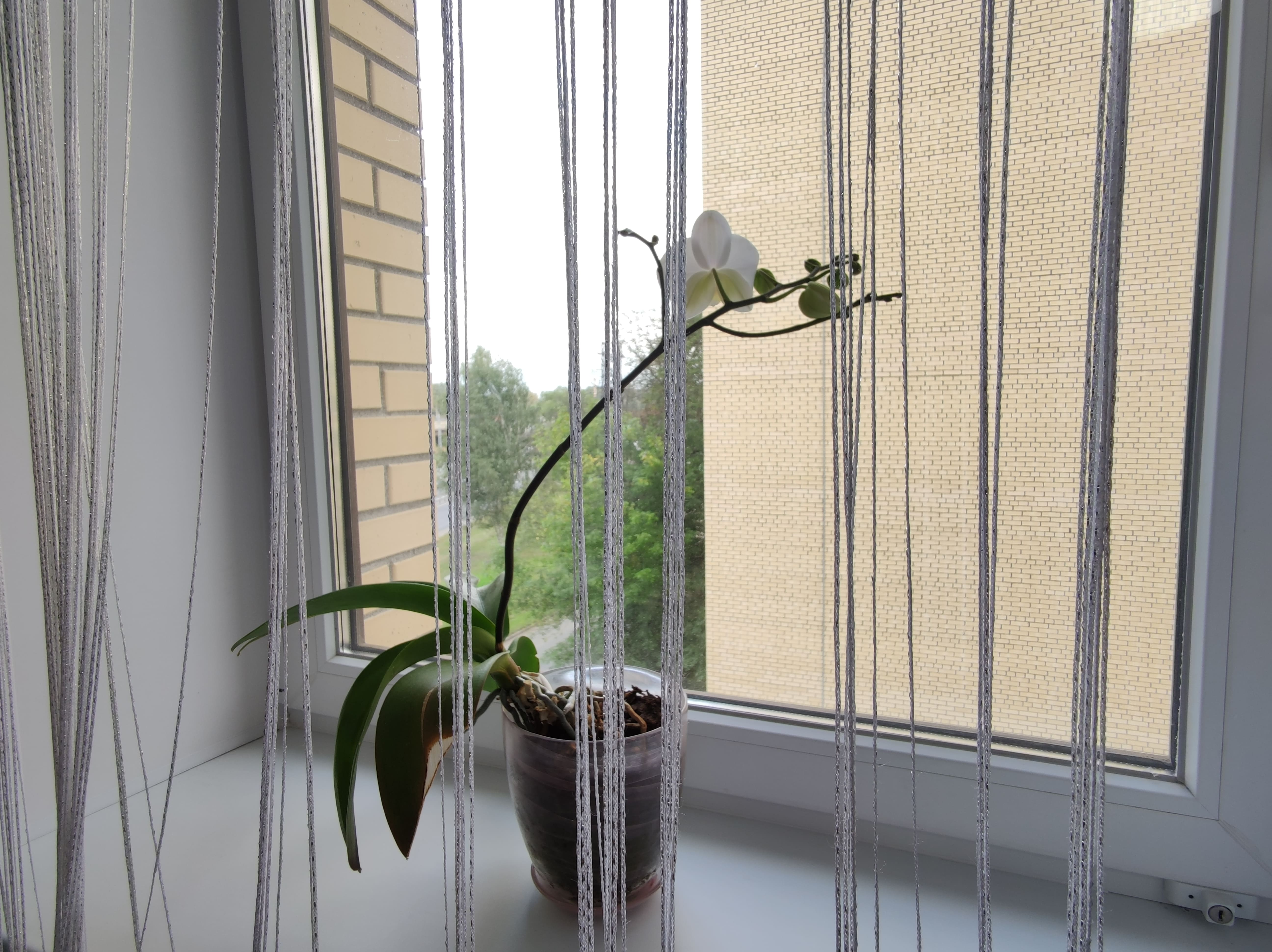 Фото Квартирославль