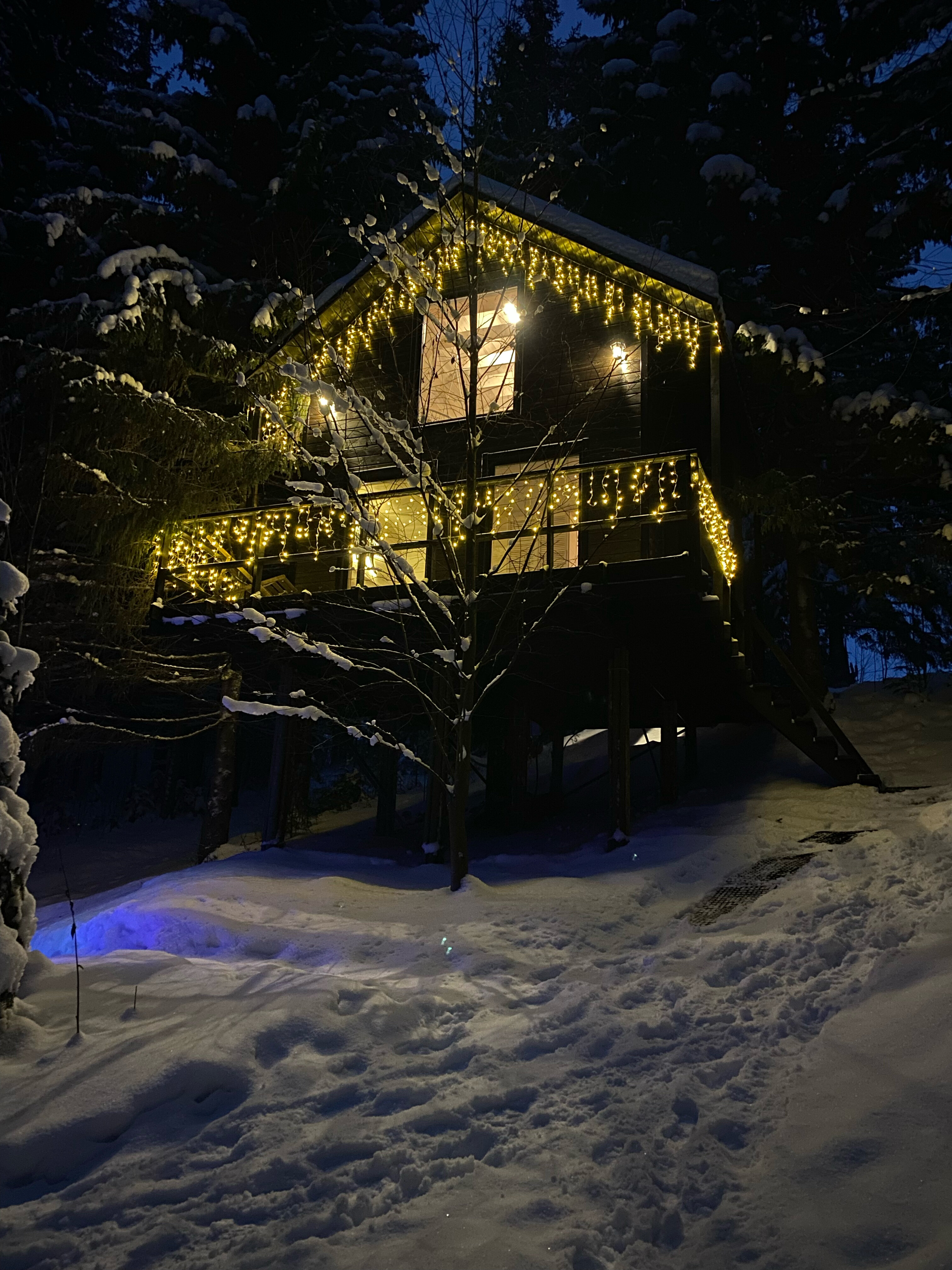 Фото Опушка