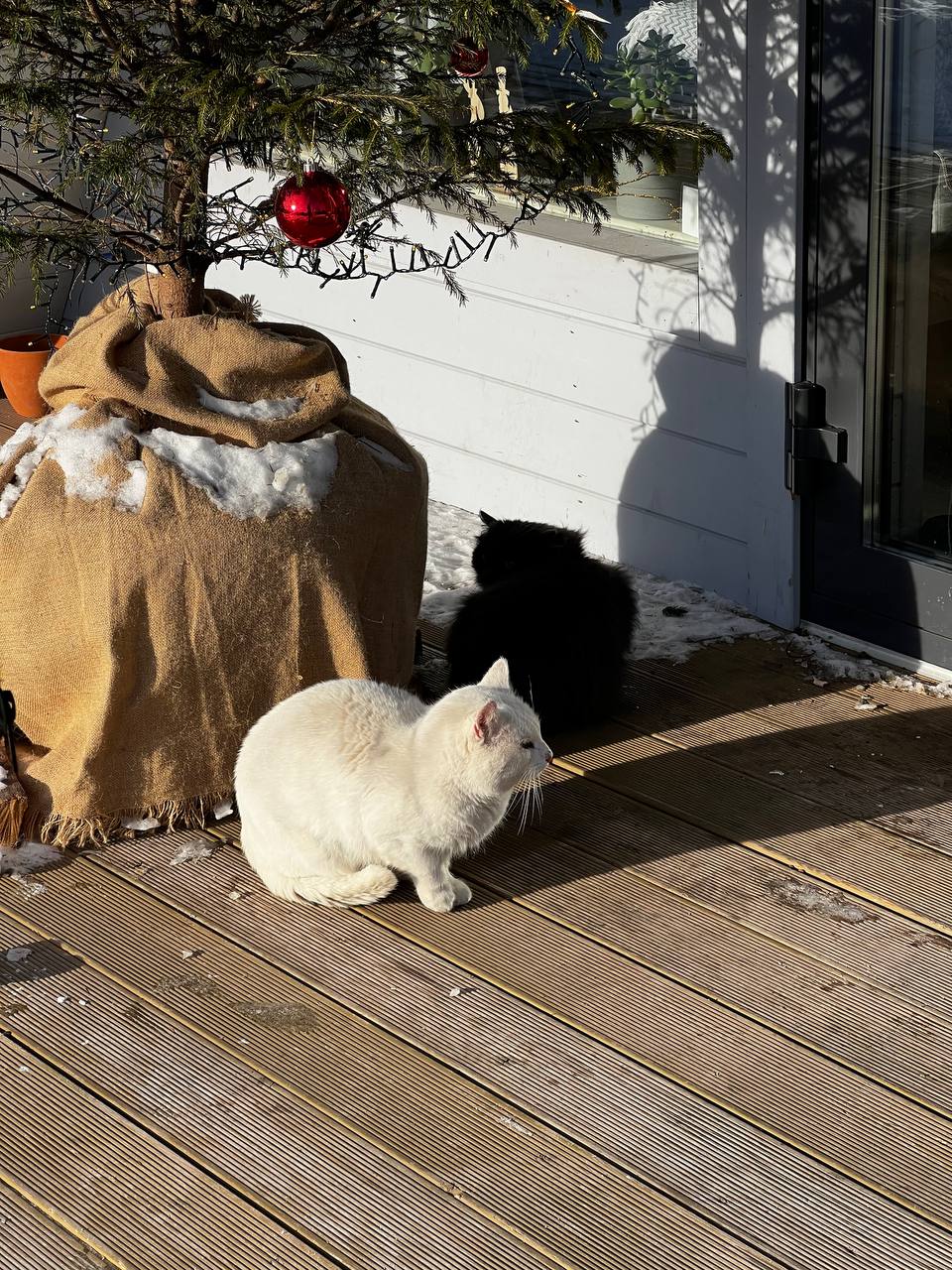 Фото А-Шалаш