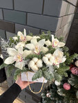 4 Сезона (Интернациональная ул., 13Д), магазин цветов в Казани