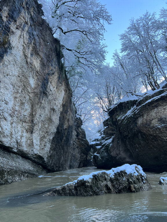 Фото Палитра