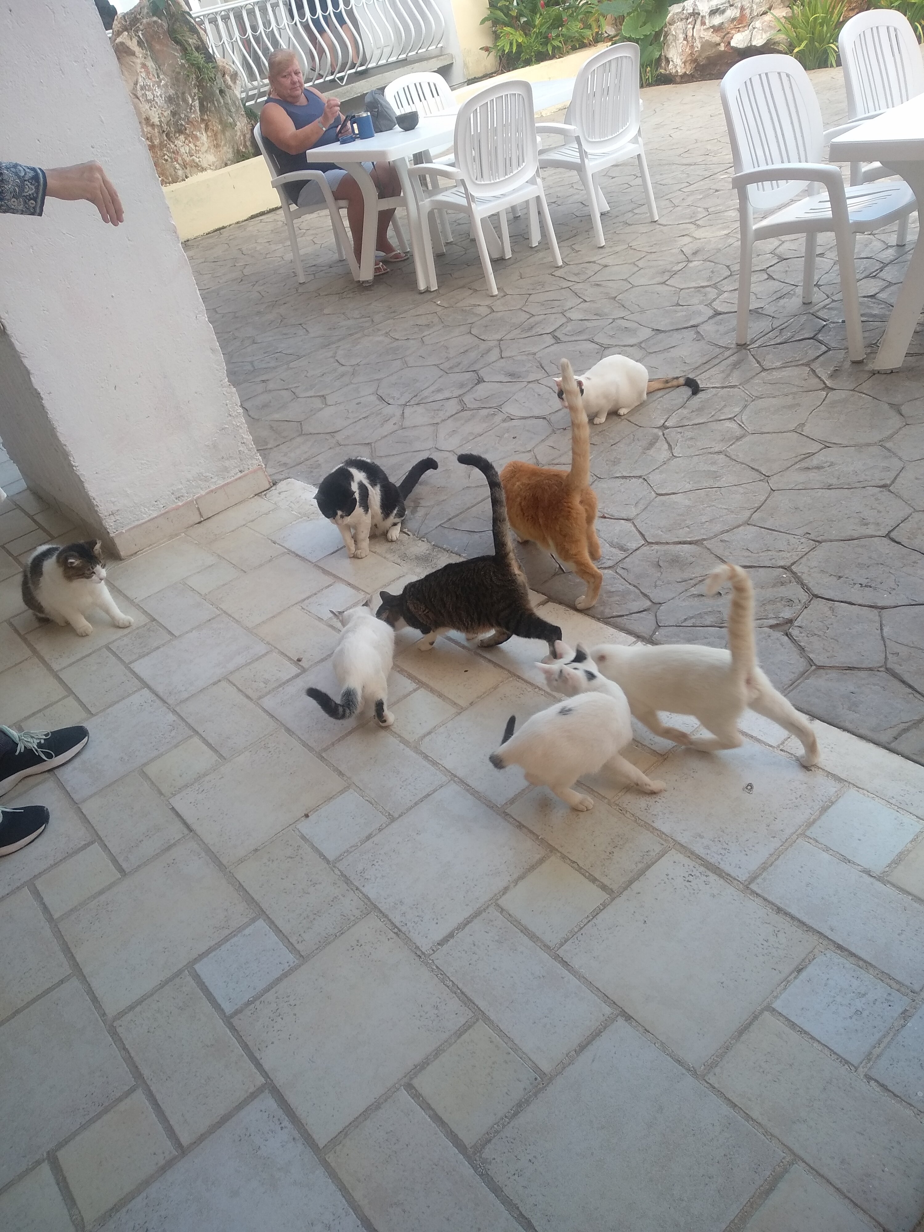 Фото Roc Barlovento