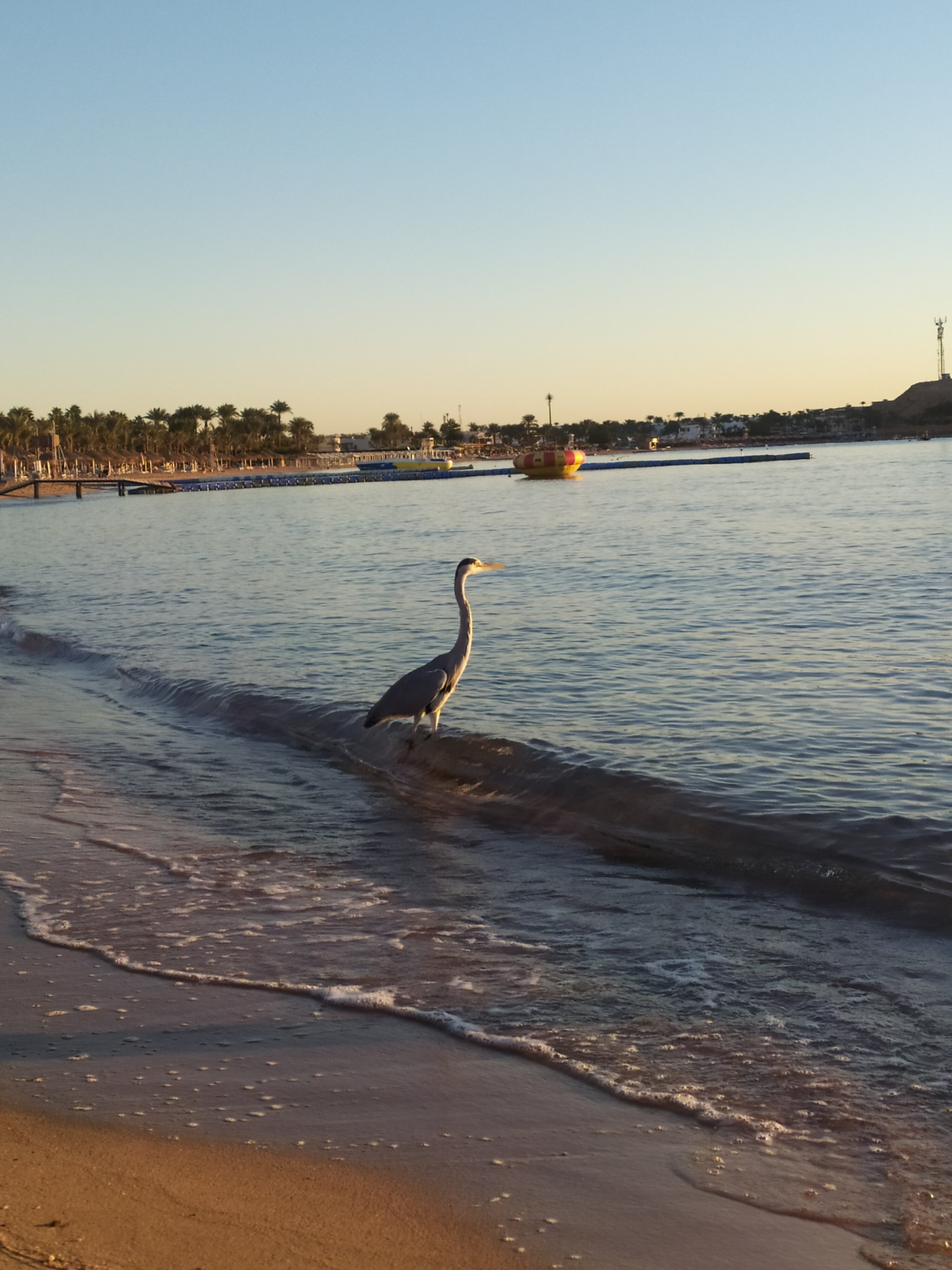 Фото Cataract Layalina Hotel