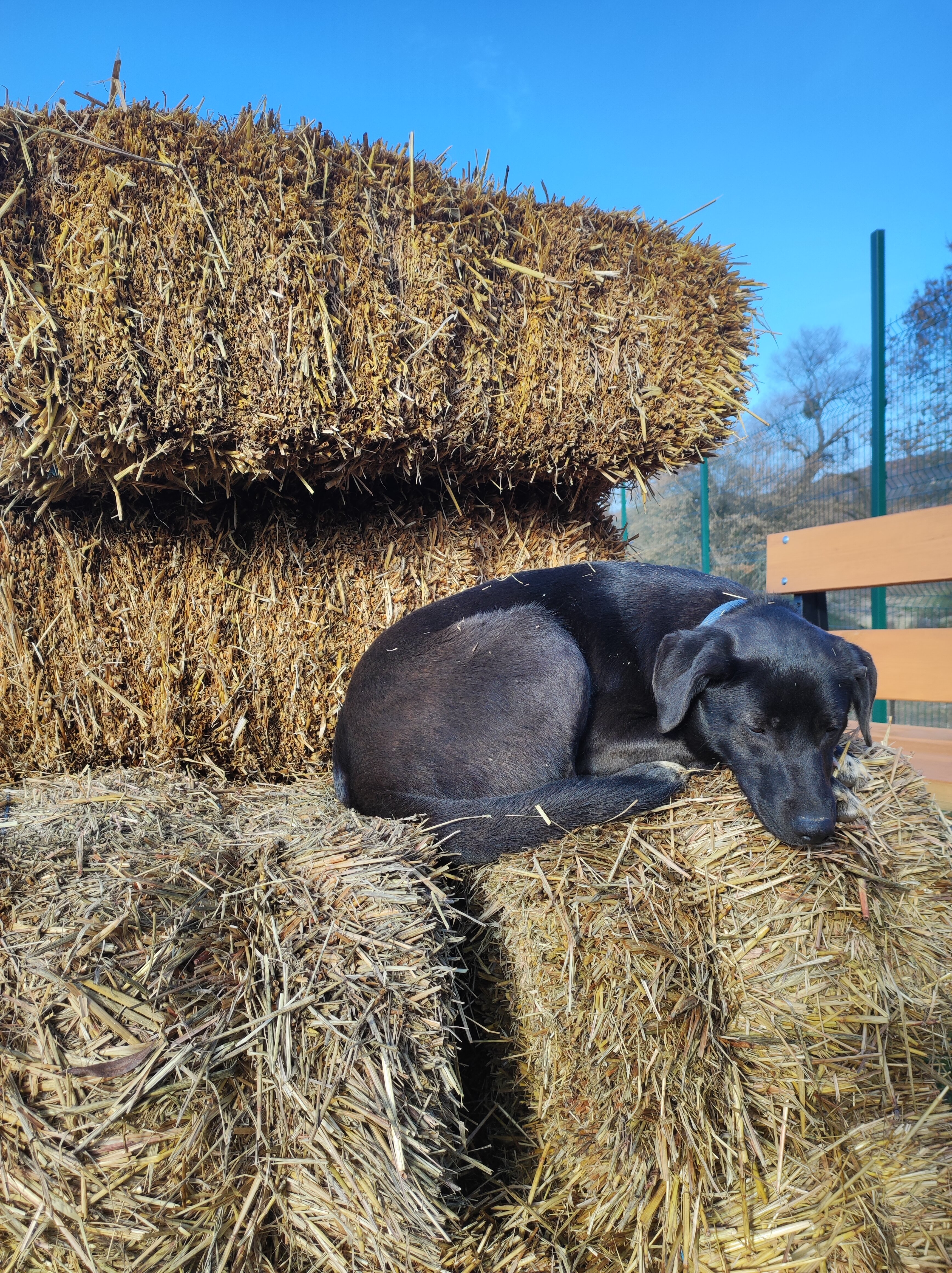 Фото Уркуста-парк