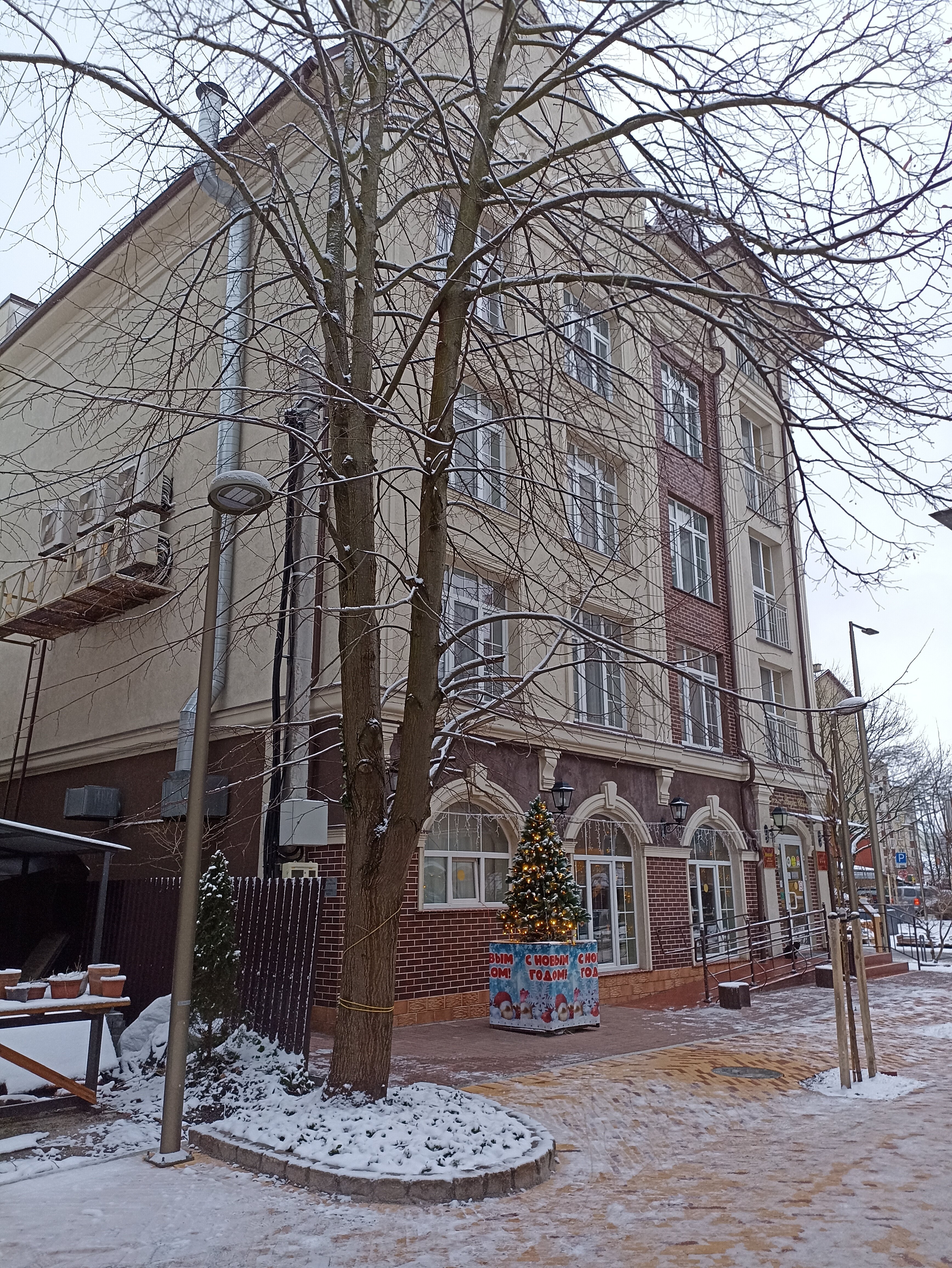 Фото Элиза ИНН