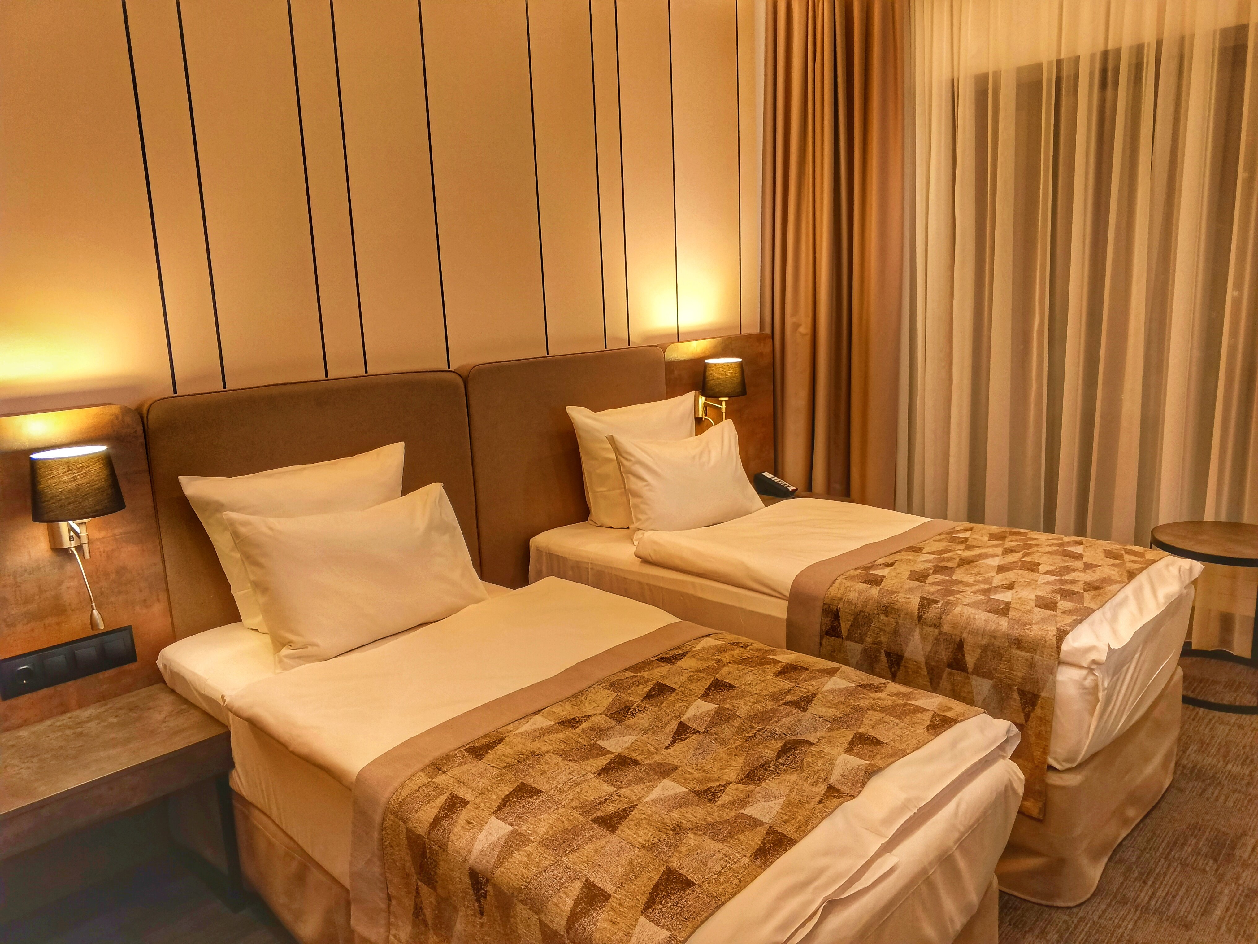 Фото Соколёна