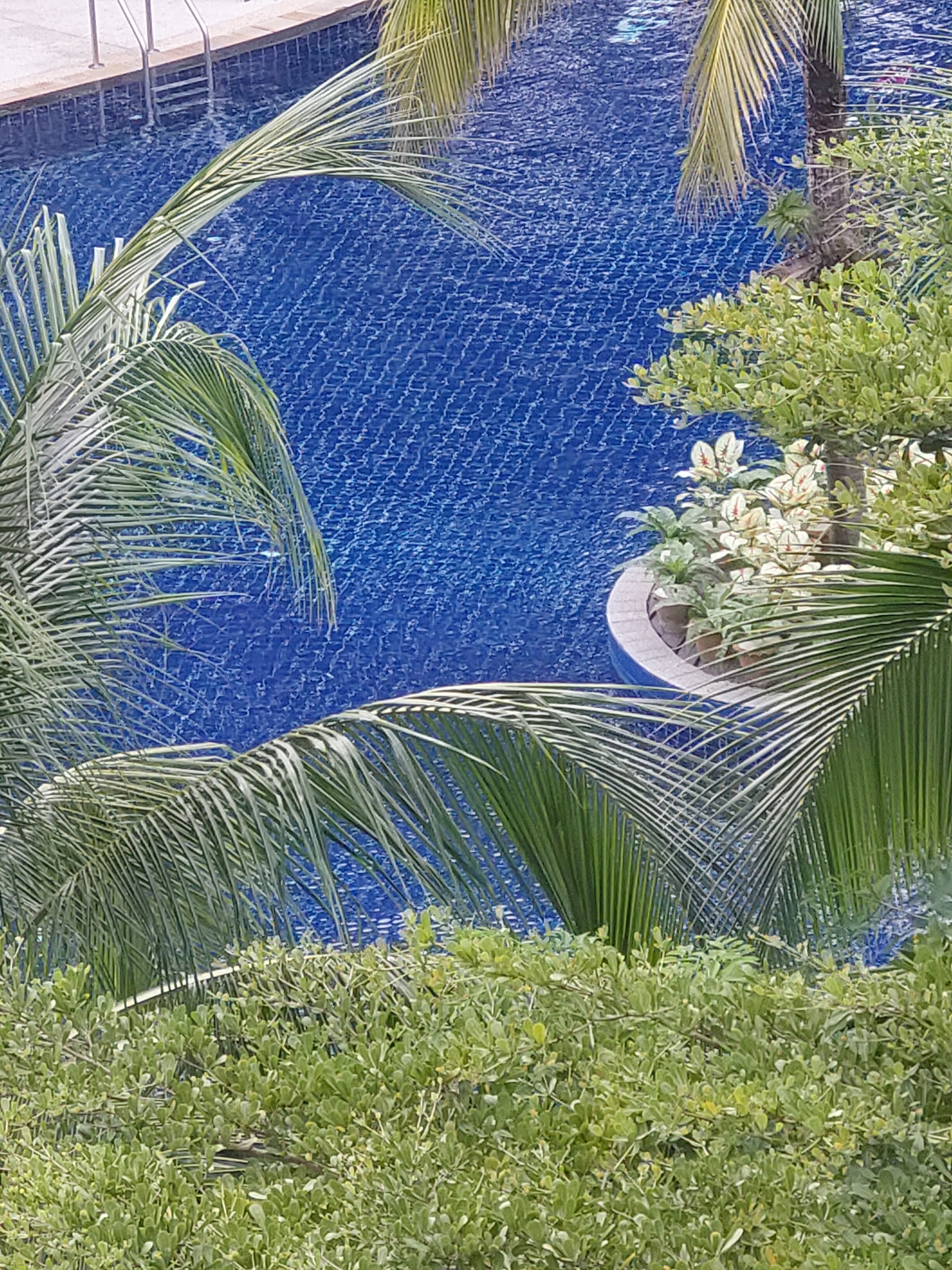 Фото Sunwing Kamala Beach