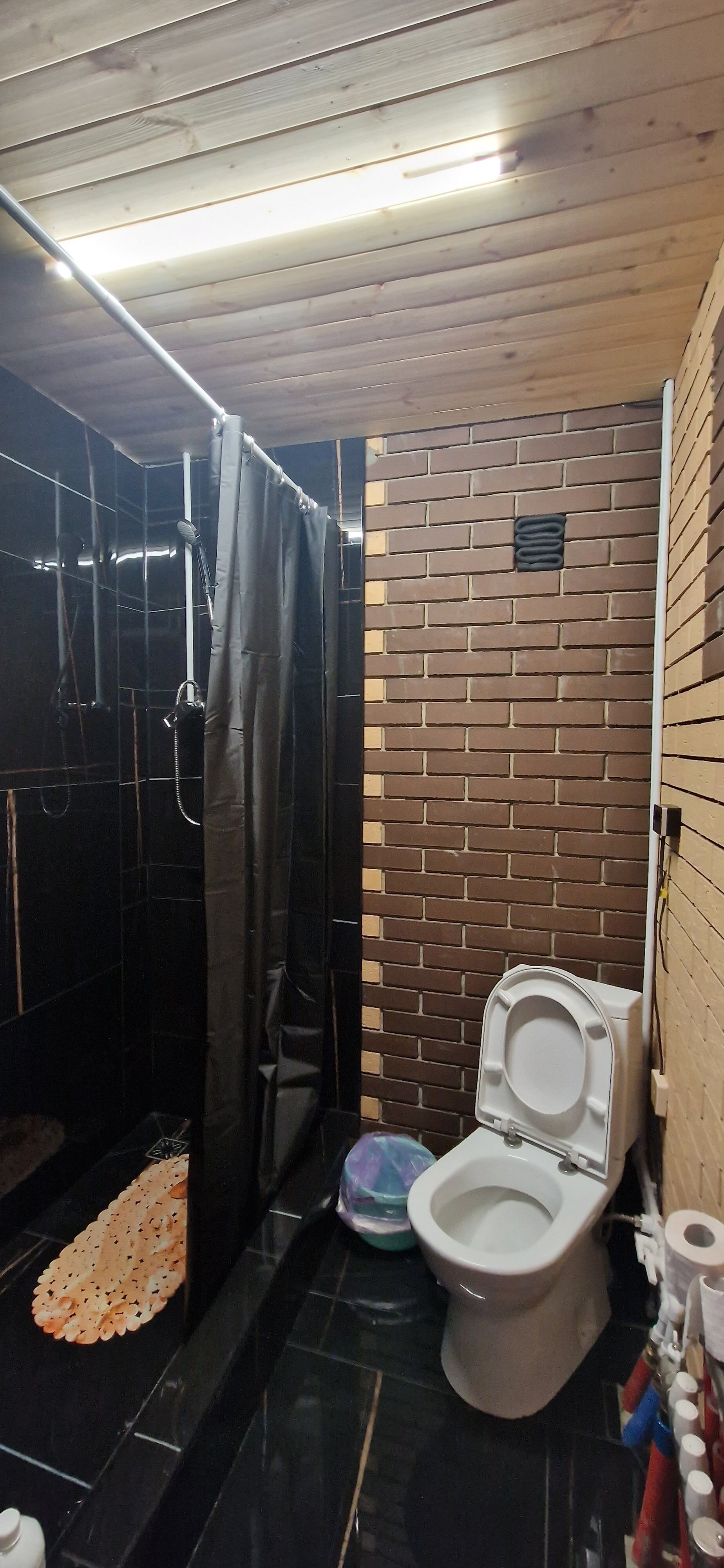 Фото Светлая роща