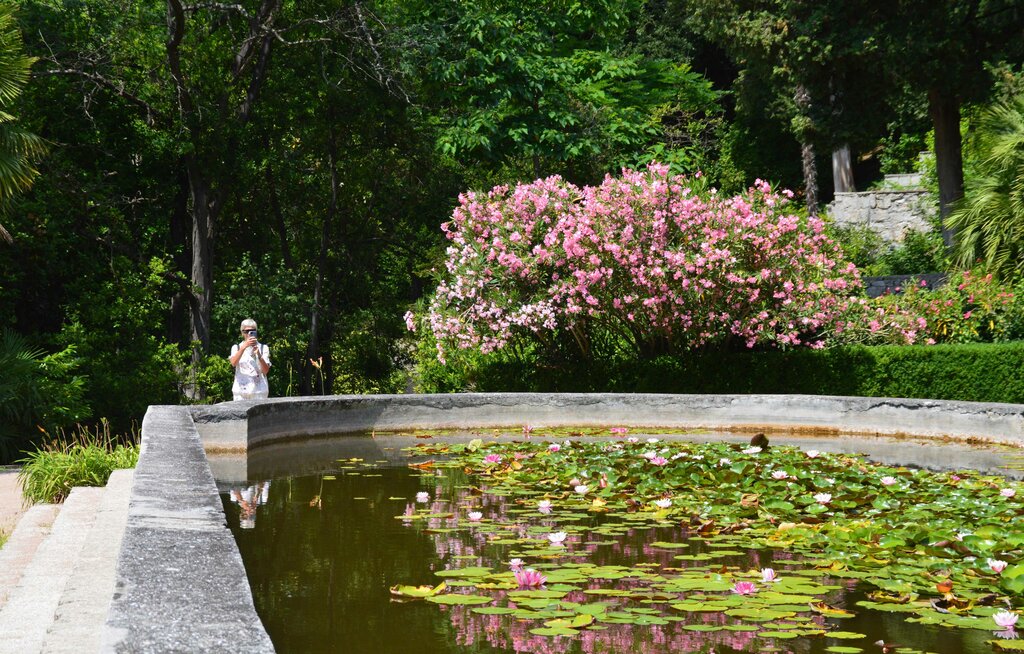 Landmark, attraction Пальмарий, Republic of Crimea, photo