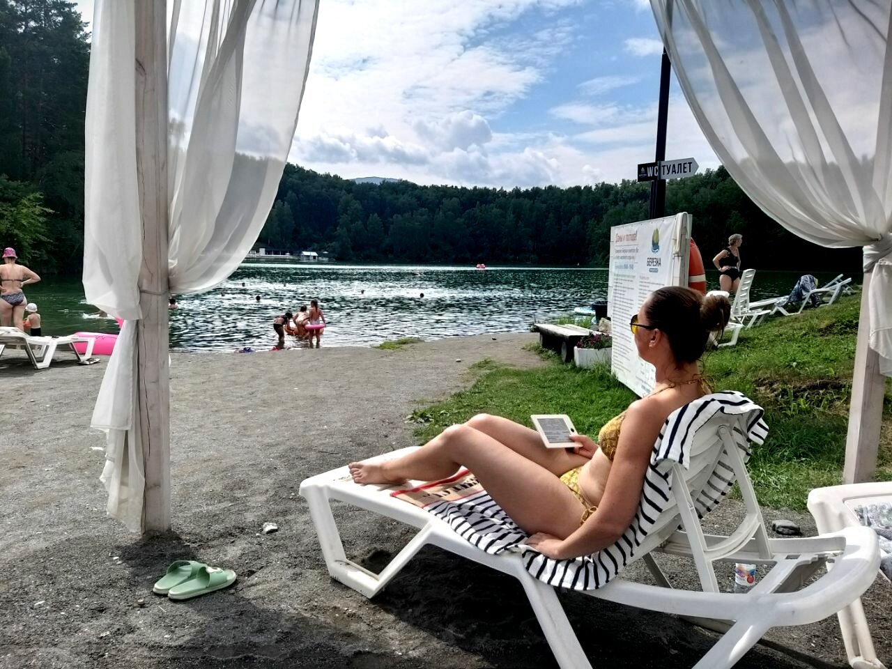 Фото Берёзка