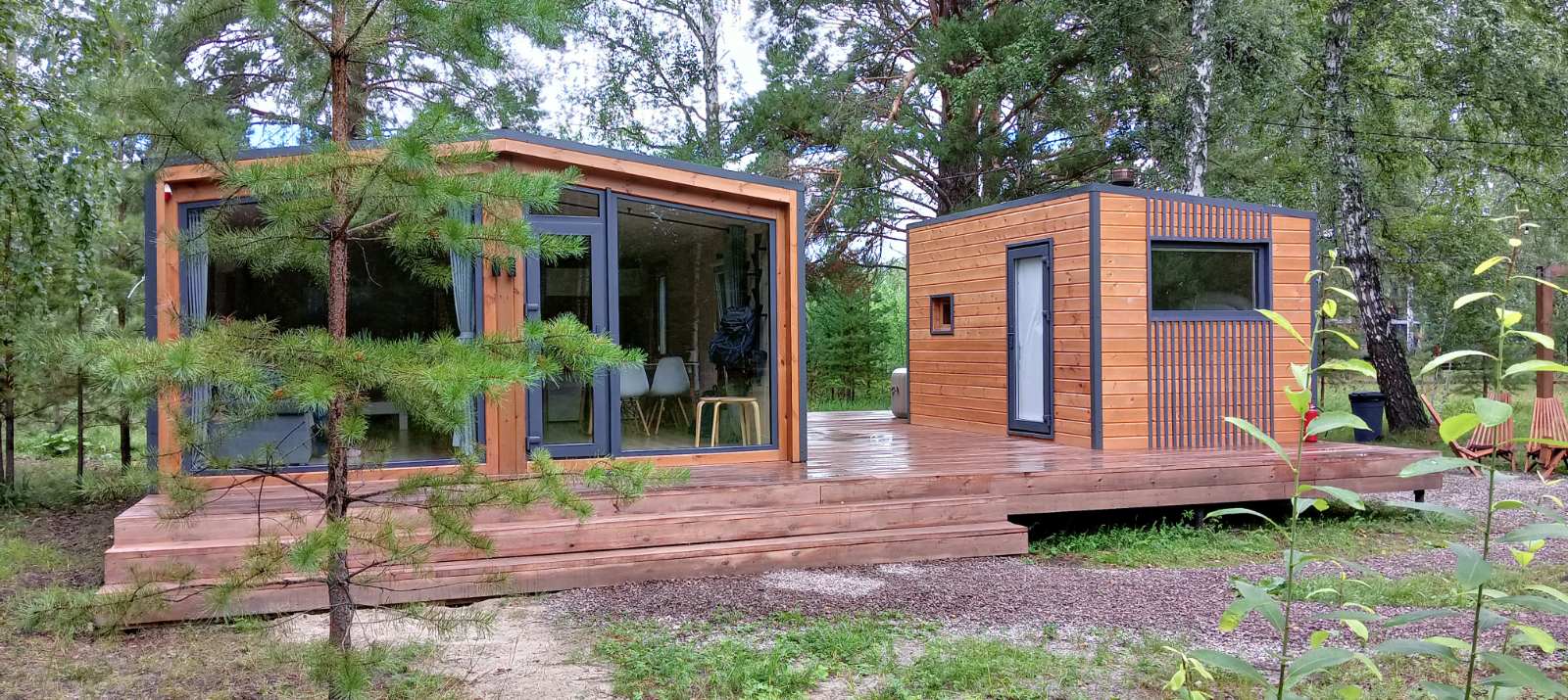 Фото Ветер в соснах