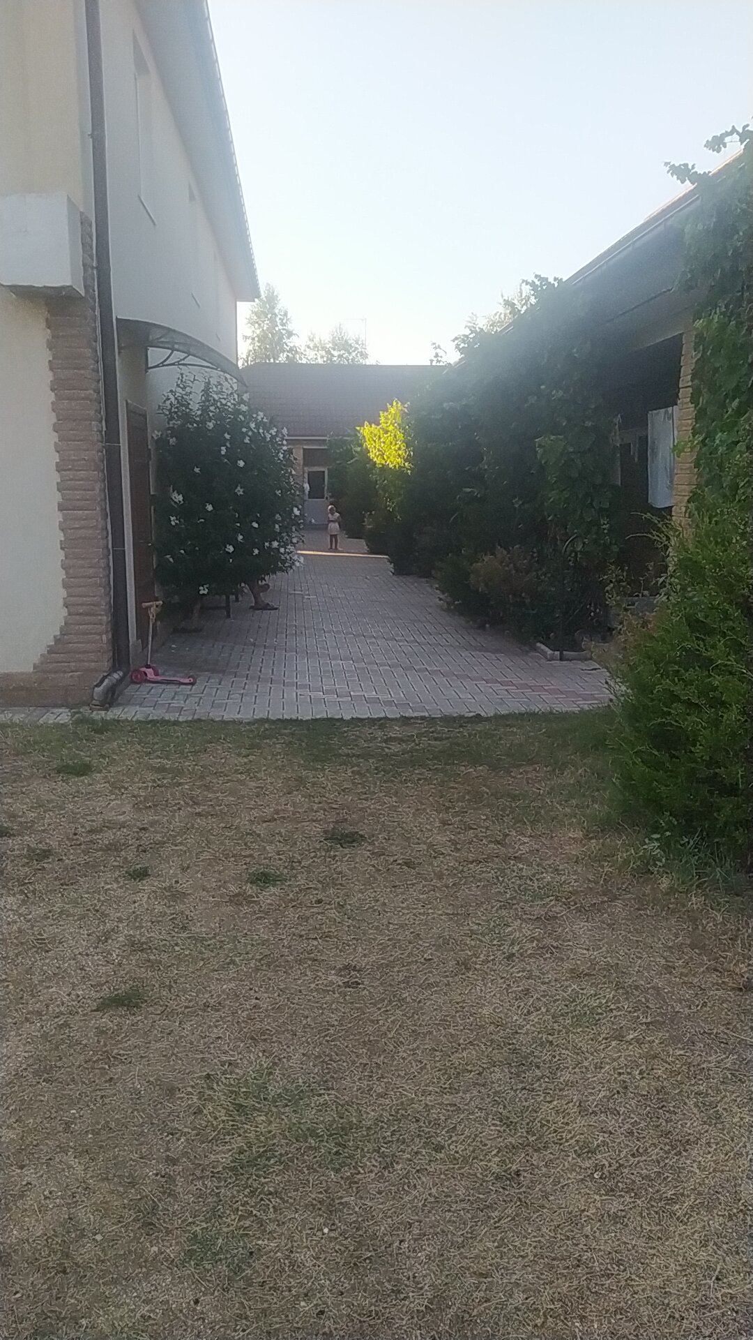 Фото Александрия