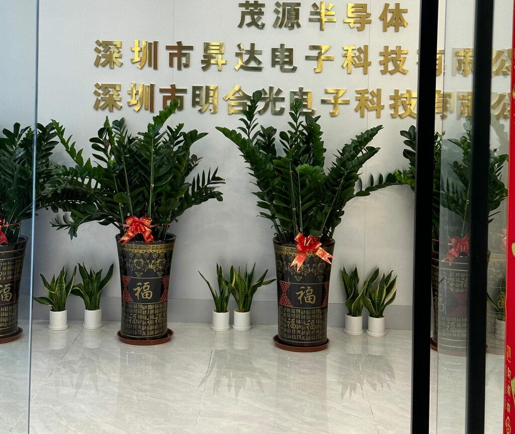 Electronic devices and components Carlacci Semiconductor International Co., Ltd, Shenzhen, photo