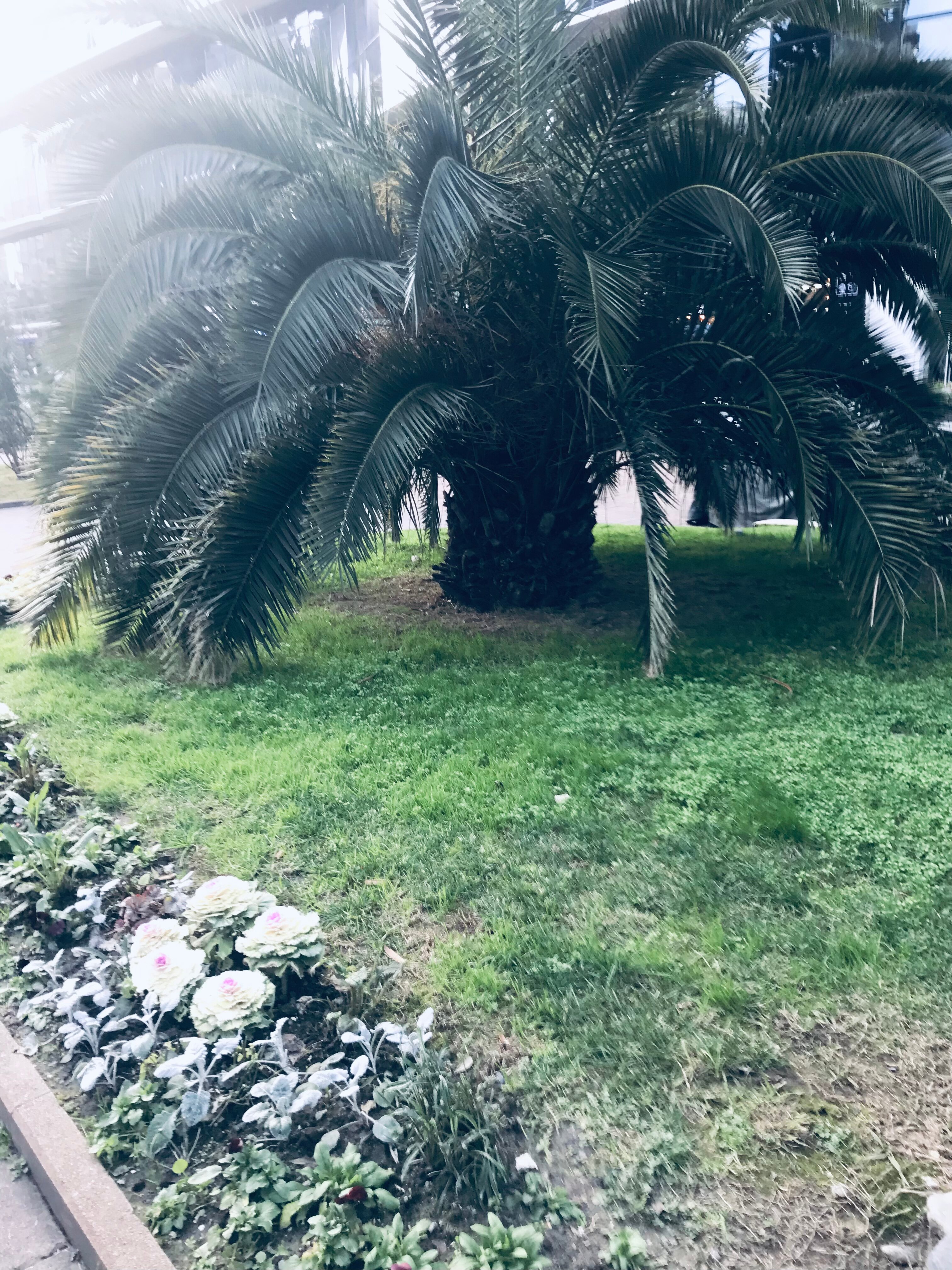 Фото Констиаль-Ривьера апарт