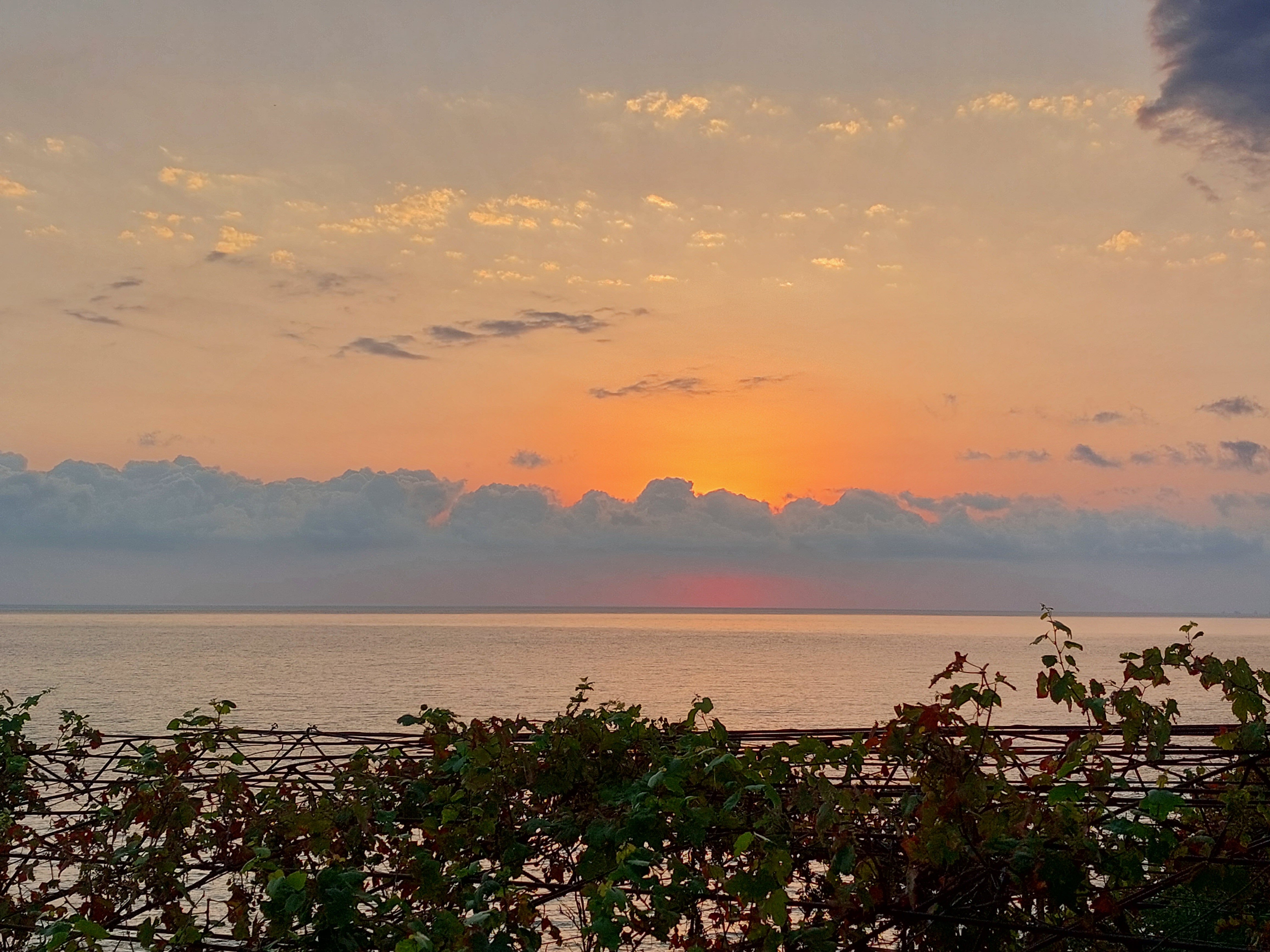 Фото Мистраль